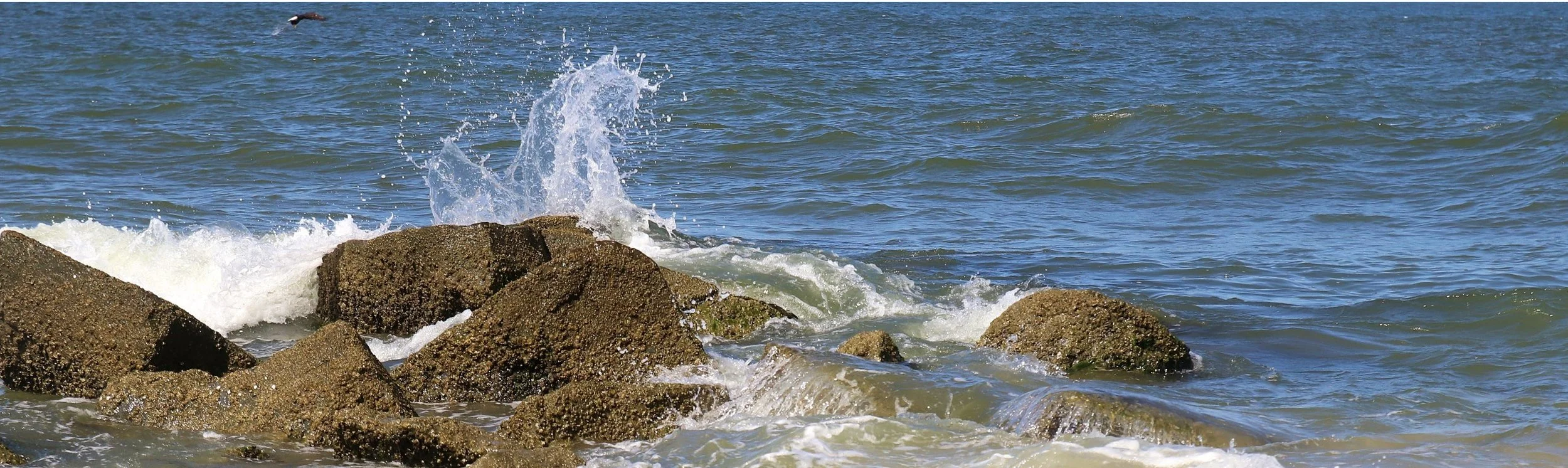 beach scenes 1.5.jpg