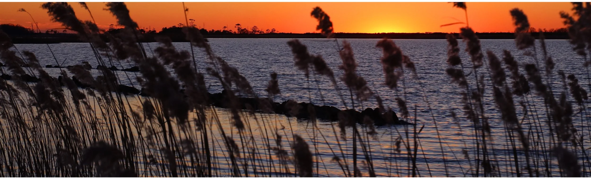 beach scenes 6.5.jpg