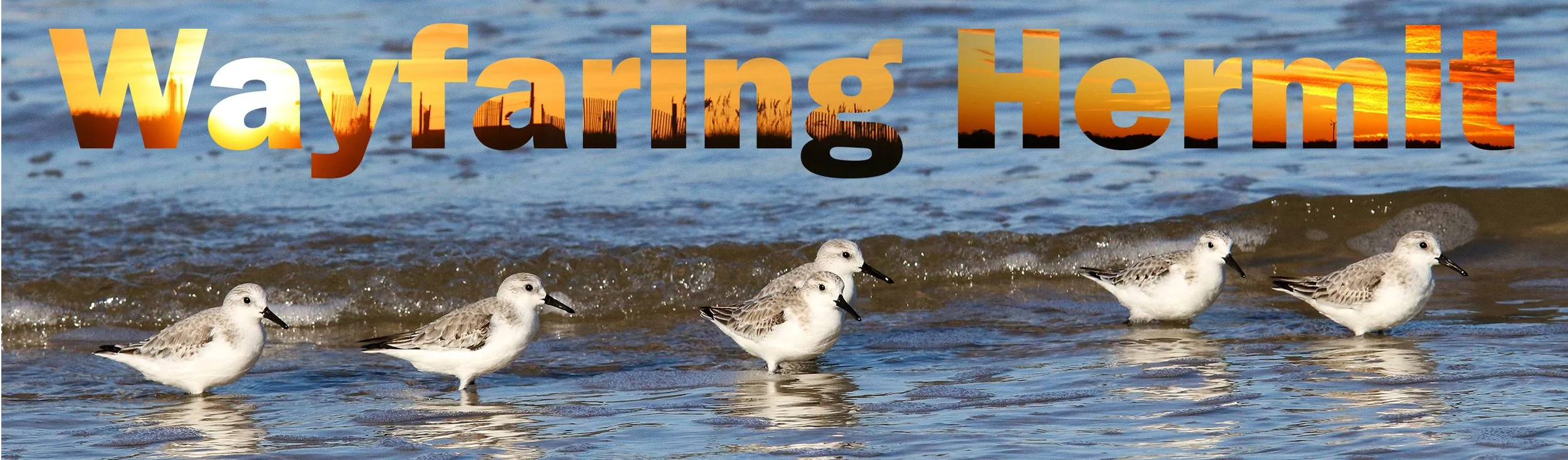 hermit bookmark 2.jpg