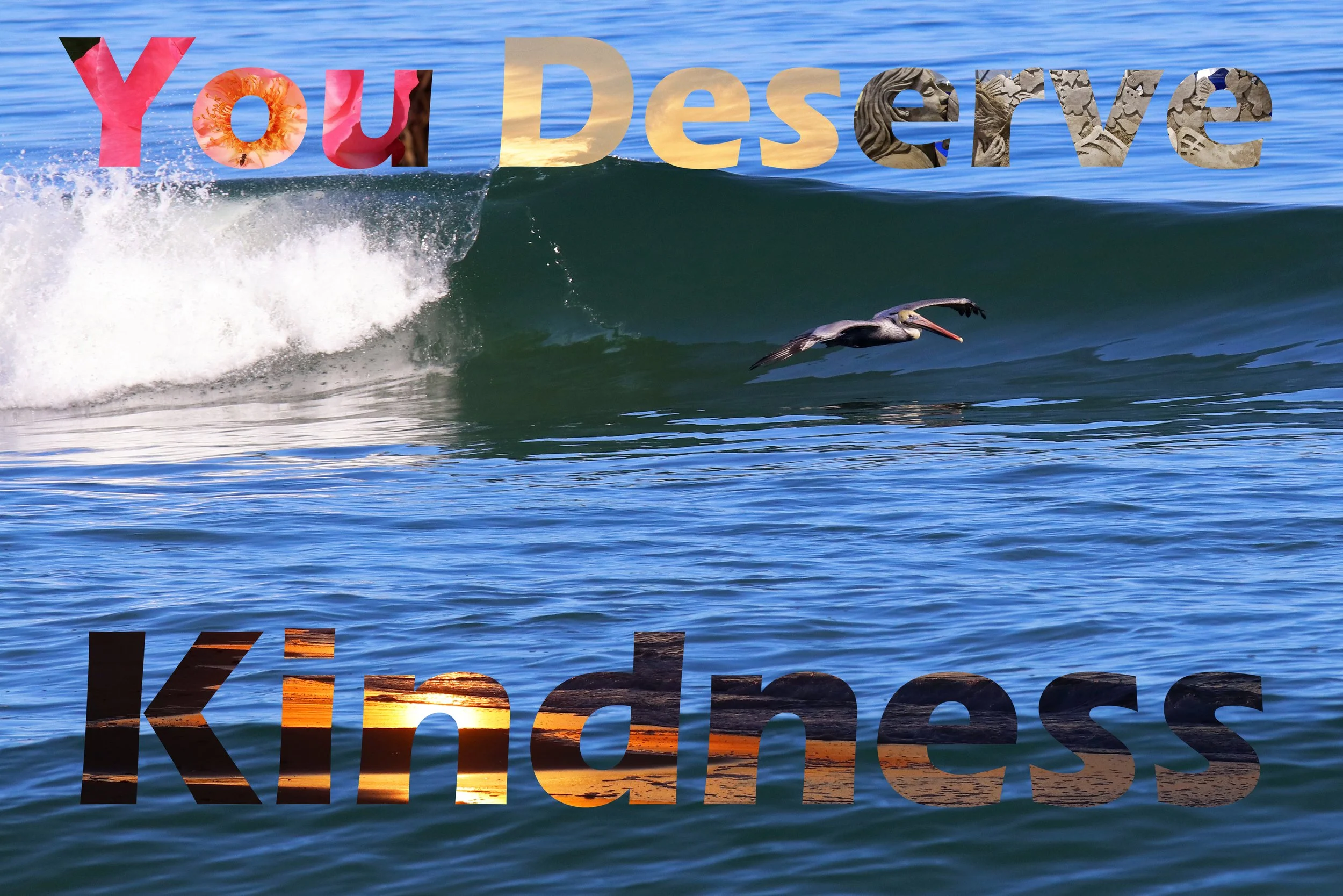 you deserve kindness pelican .5.jpg
