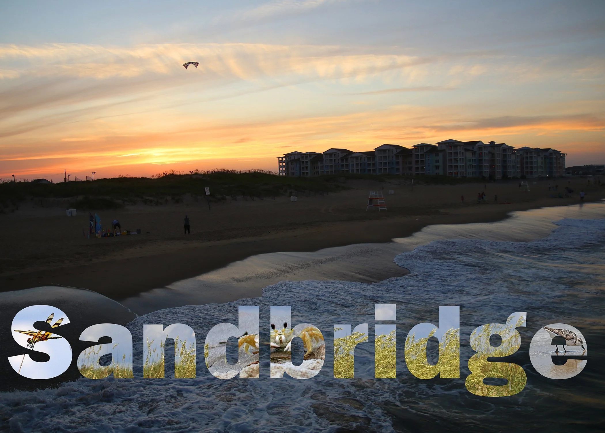 postcard 11.jpg