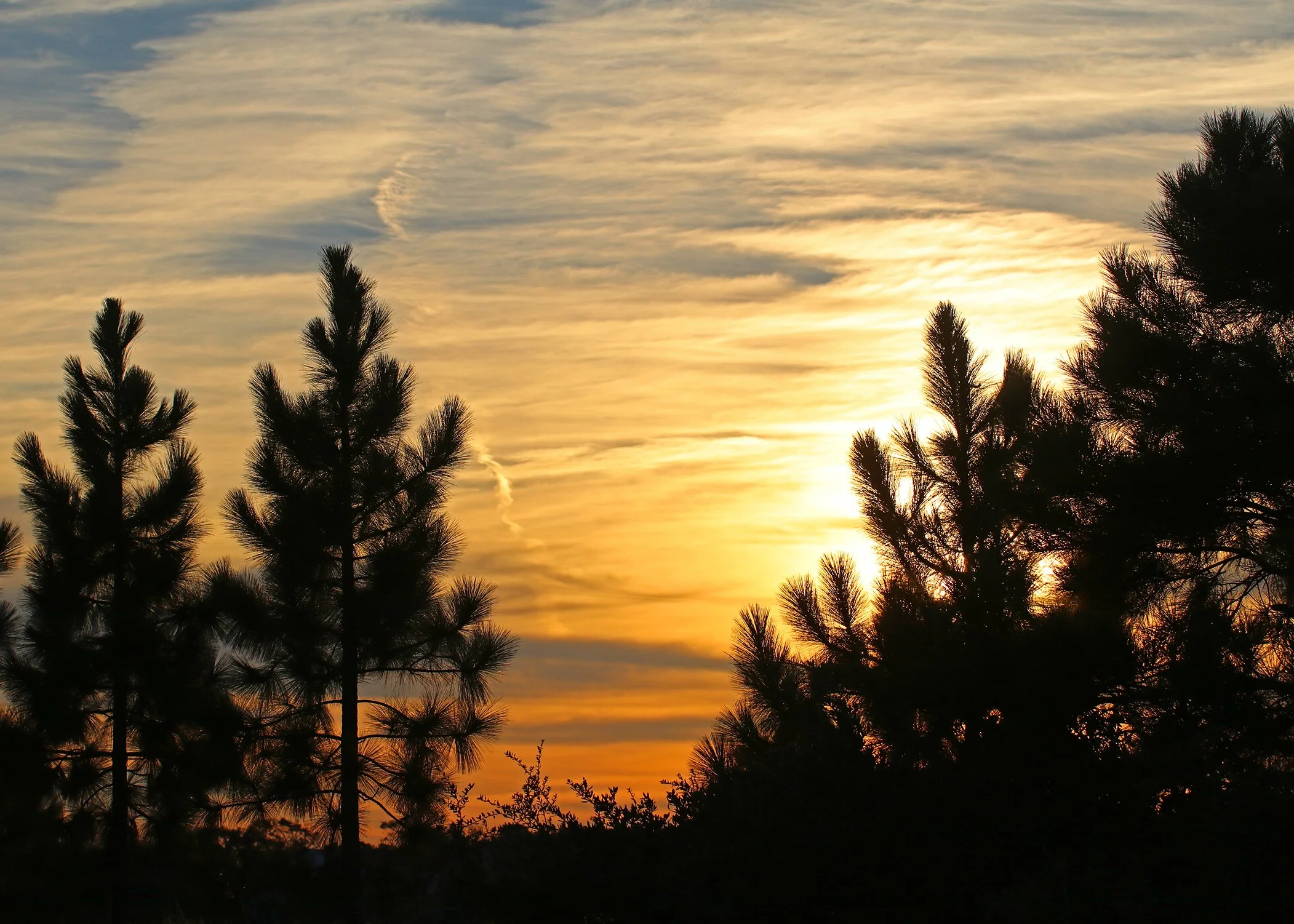 postcard 6.5.jpg