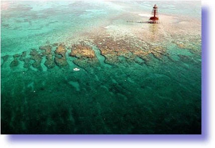 florida-keys-reefs-cropped.jpg