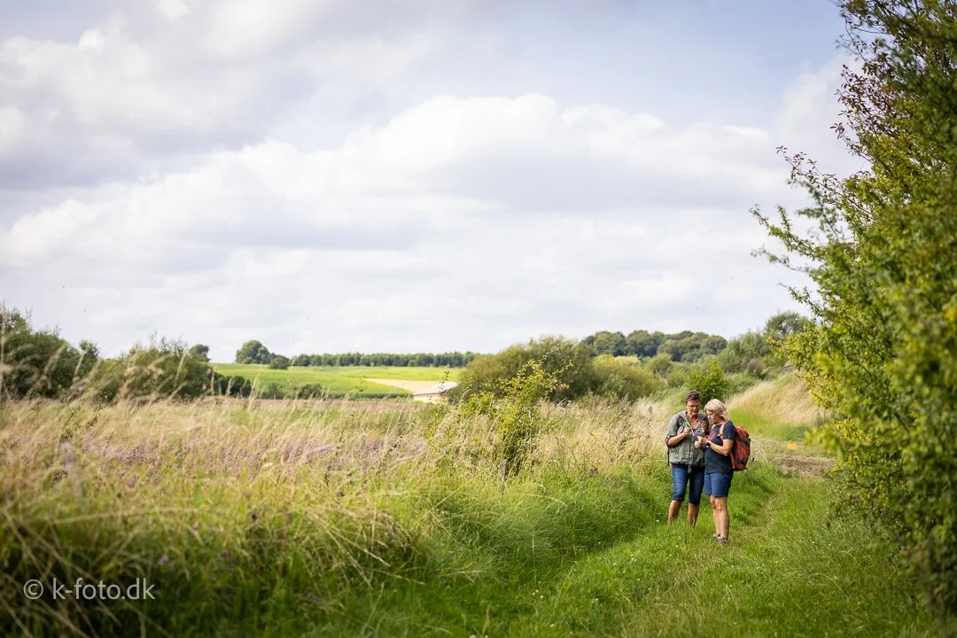 Lykken er ikke konstant