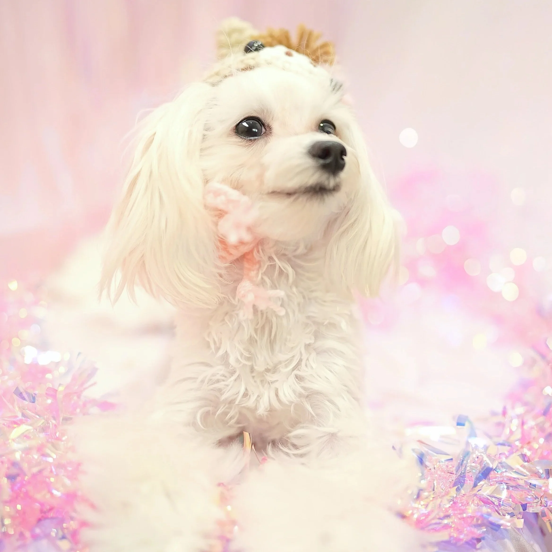 2026年もみんなにたくさんの幸せがありますように