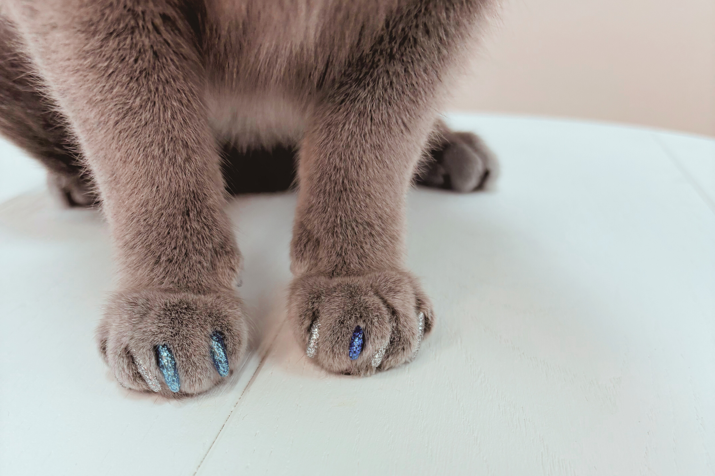 After: Nail Caps to Protect Furniture