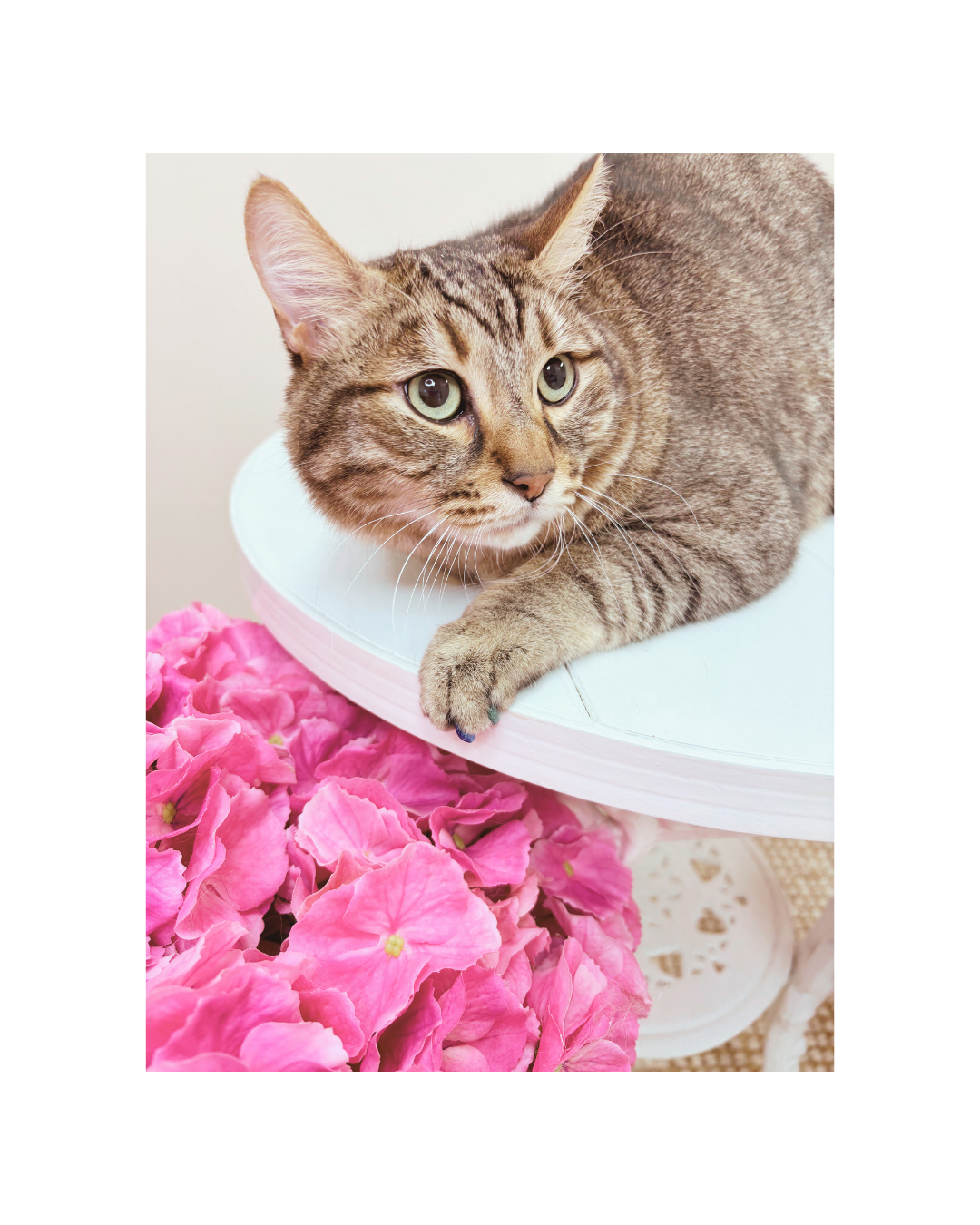 After: Nail Caps to Match His Brother