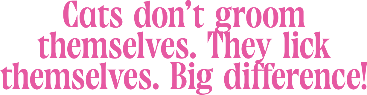 Text meme with pink font on black background that reads: "Cats don't groom themselves. They lick themselves. Big difference!"