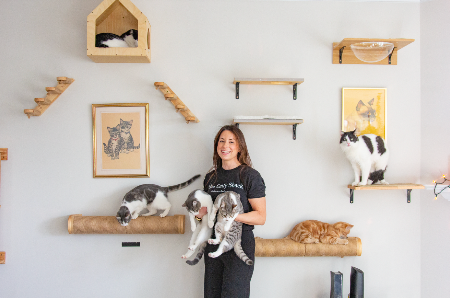 A woman smiling and holding four cats in a room with cat shelves and pictures of cats on the wall.