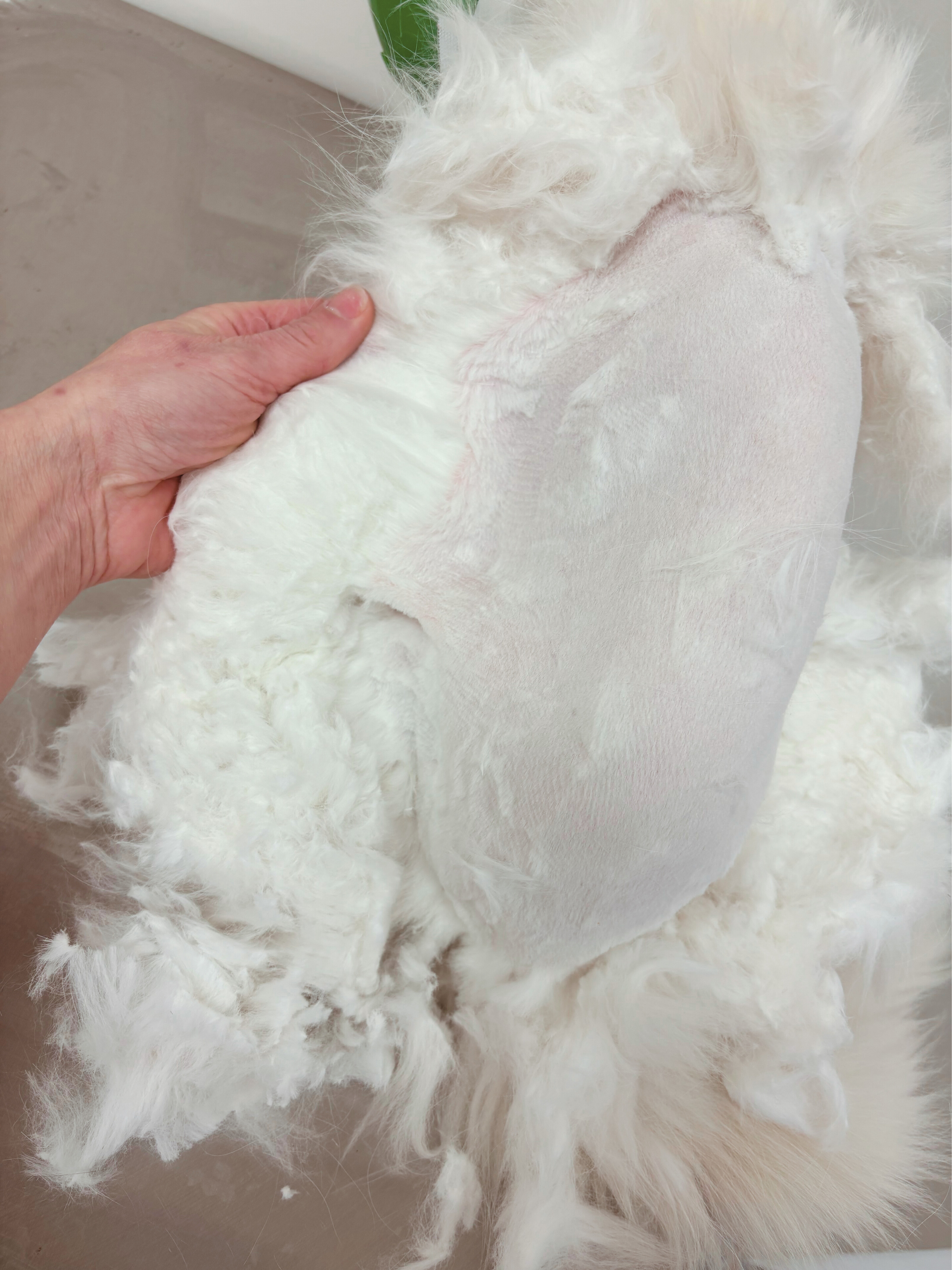 Untitled design (20).png