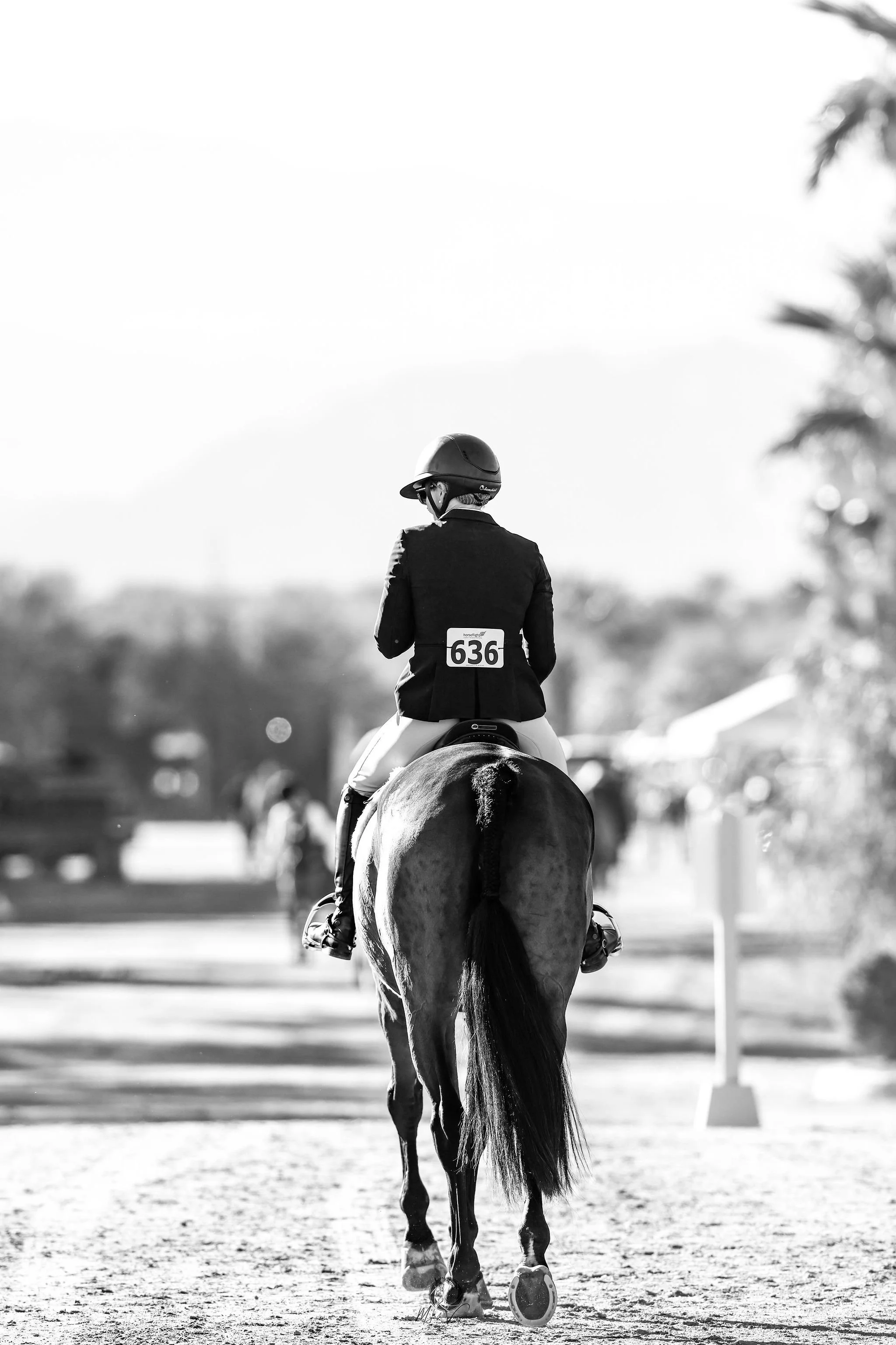 Sara Pealy, a Fractional Product Manager, on her horse