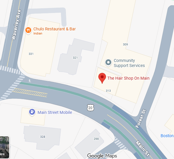 Map showing locations including Chulo Restaurant & Bar, The Hair Shop On Main, Community Support Services, Main Street Mobile, and nearby streets Forest Street and Waverley Avenue.