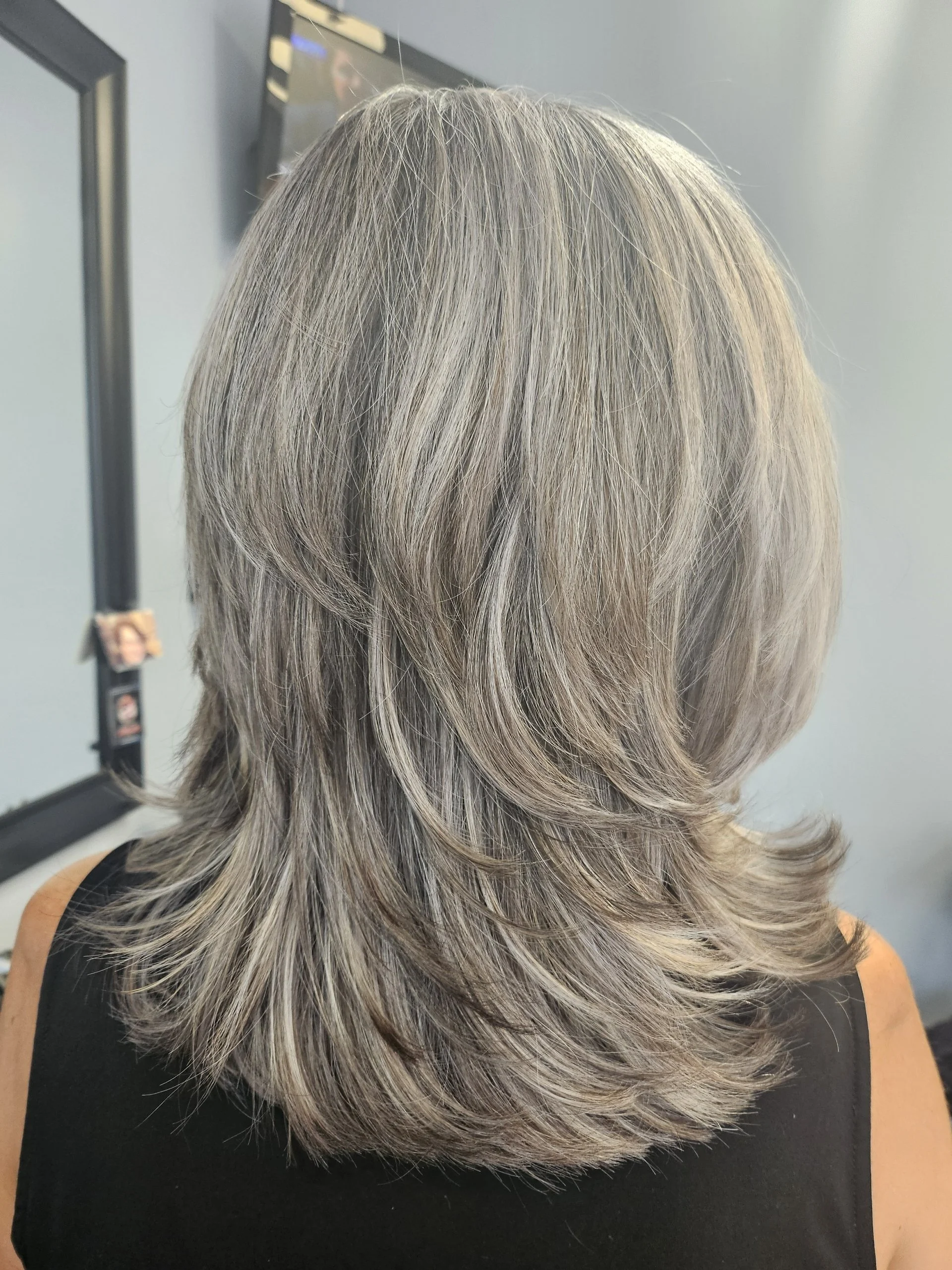 Back of a person's head with shoulder-length, layered, gray hair.