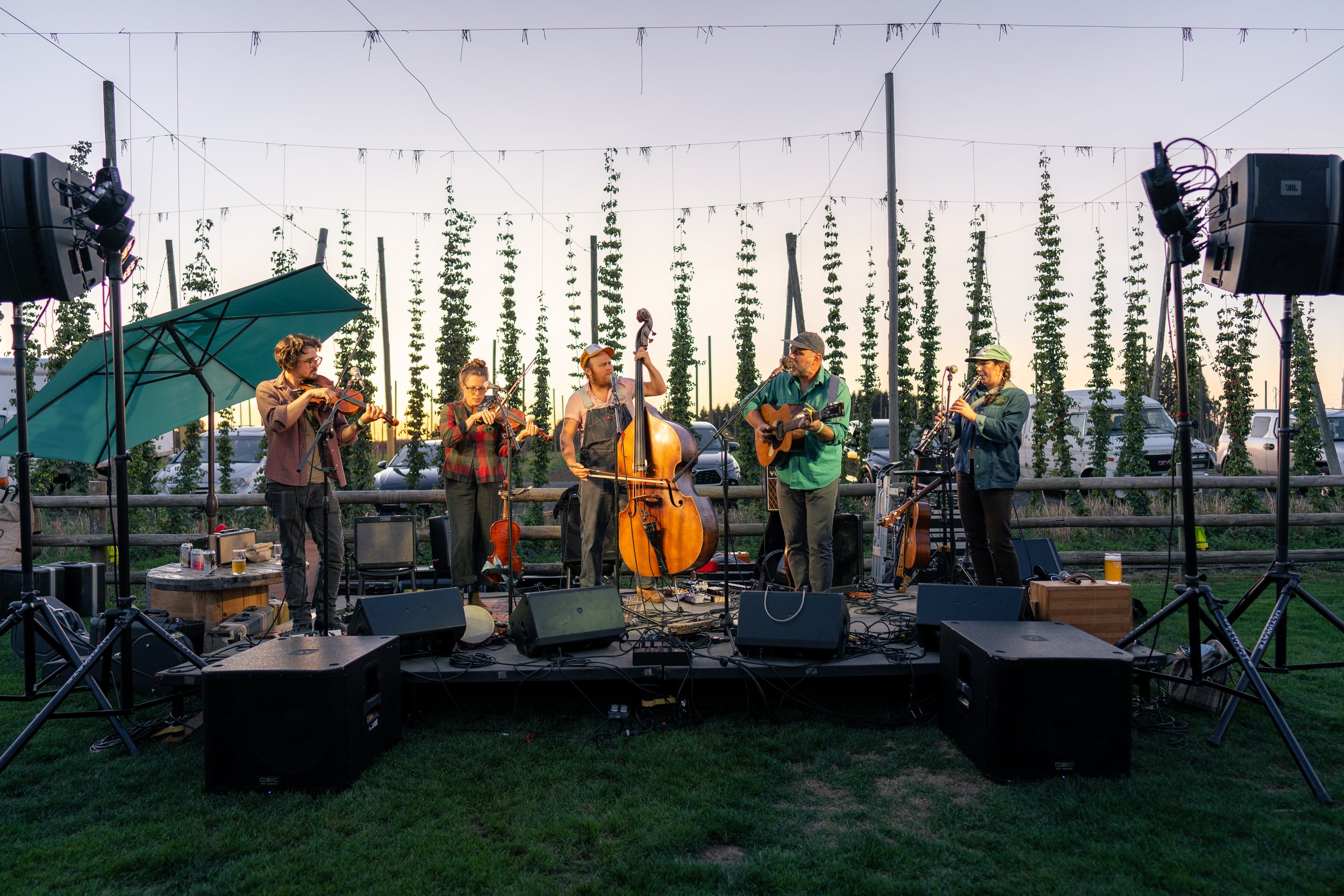 A live band performing on an outdoor stage during sunset, with five musicians playing violins, a double bass, a guitar, and a clarinet, surrounded by speakers, microphones, and equipment, set against a backdrop of a hop bines.