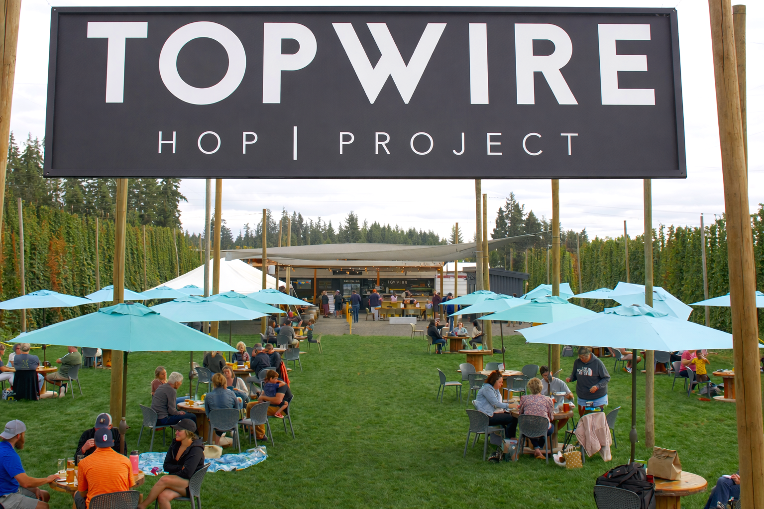 Outdoor gathering at Top Wire Hop Project with people sitting under blue umbrellas and a stage in the background surrounded by greenery.