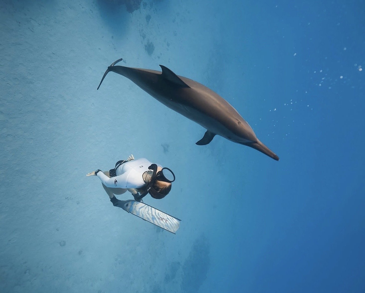 Red Sea Ocean Safari Yoga Retreat