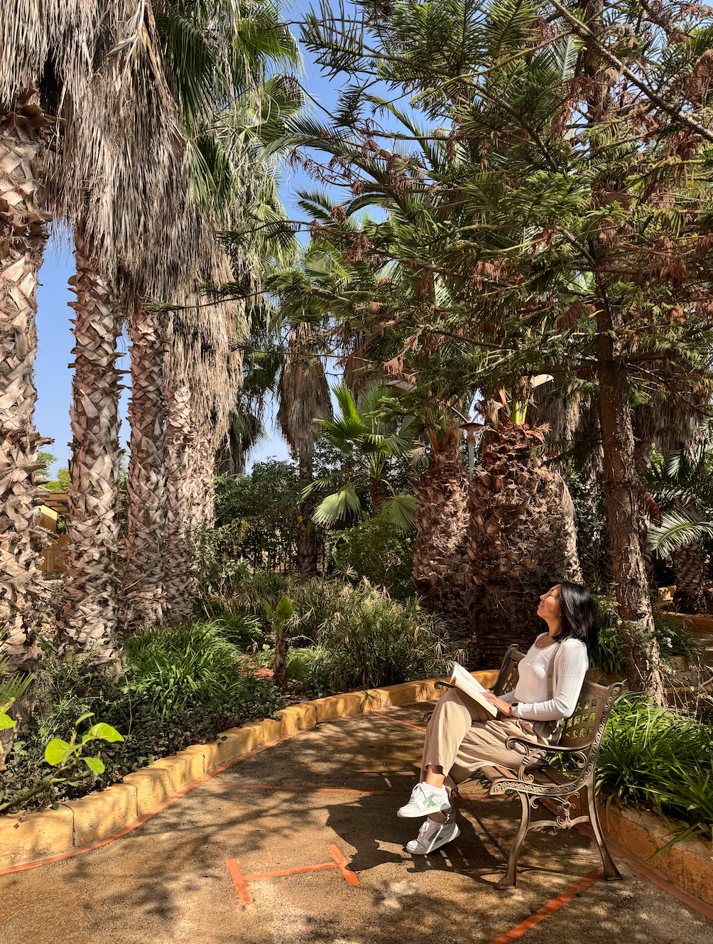 Screenshot 2026-02-11 at 16.31.17.png