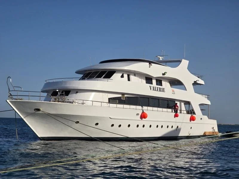 WhatsApp Image 2026-01-23 at 20.36.58.jpeg