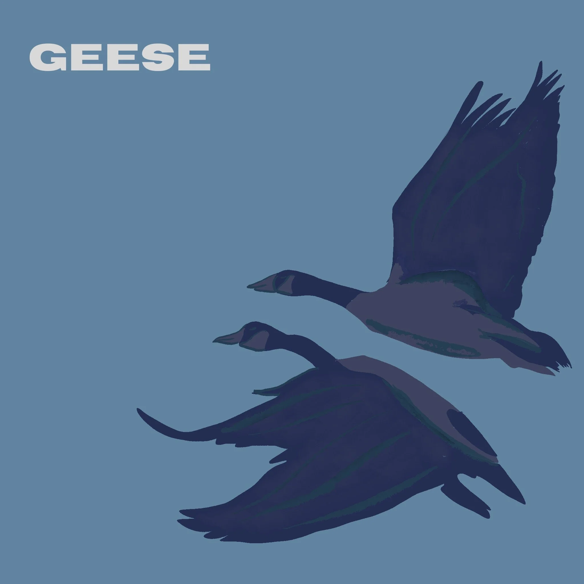 geese.jpeg