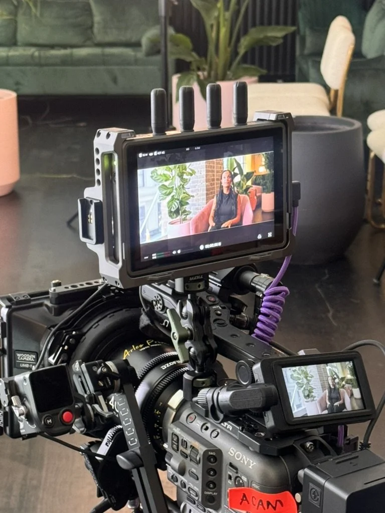 Professional video camera filming a woman sitting on a pink couch with green plants and brick wall in the background.