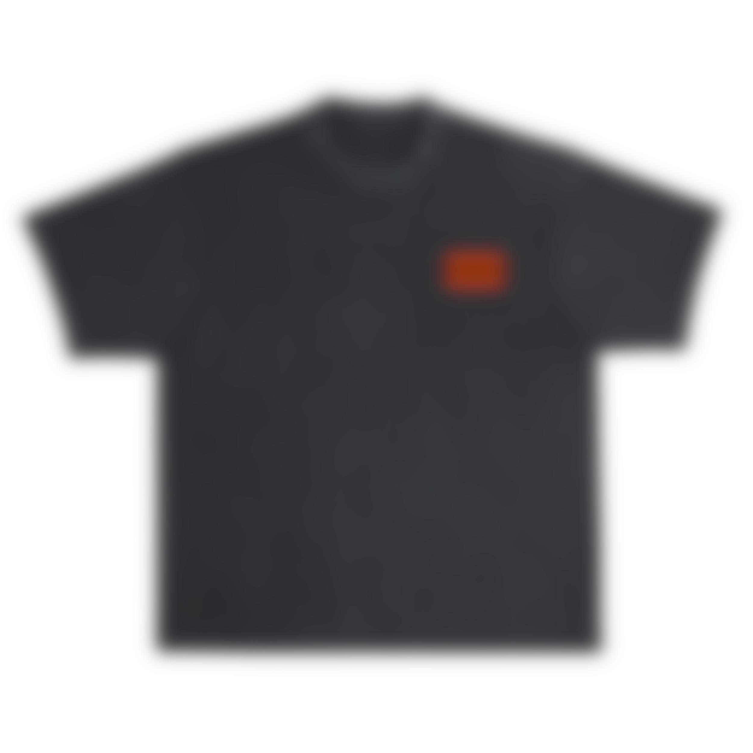 Heavyweight Tee - LIMITED CAPSULE 001 (Unrevealed)