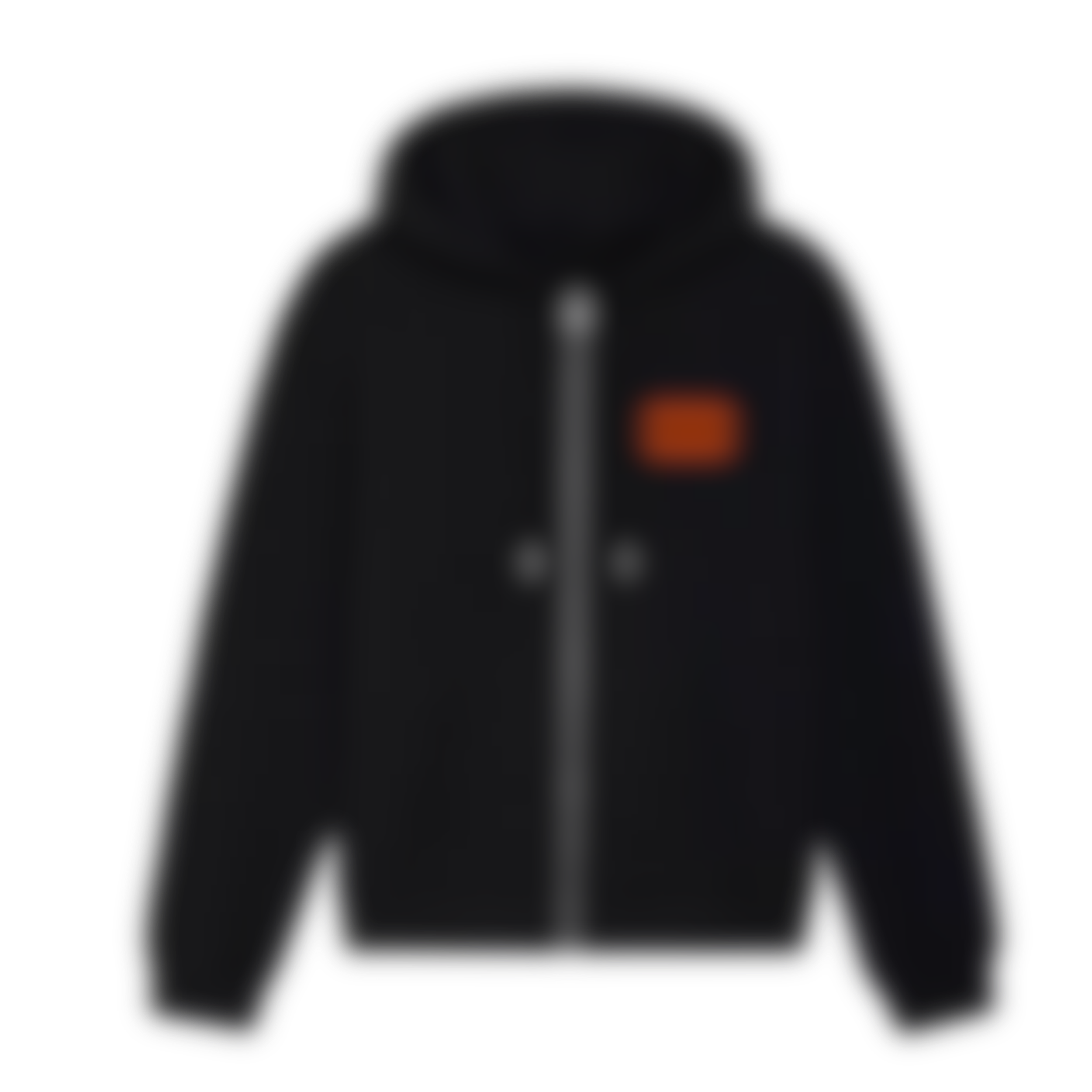 Zip Hoodie — LIMITED CAPSULE 001 (Unrelealed)