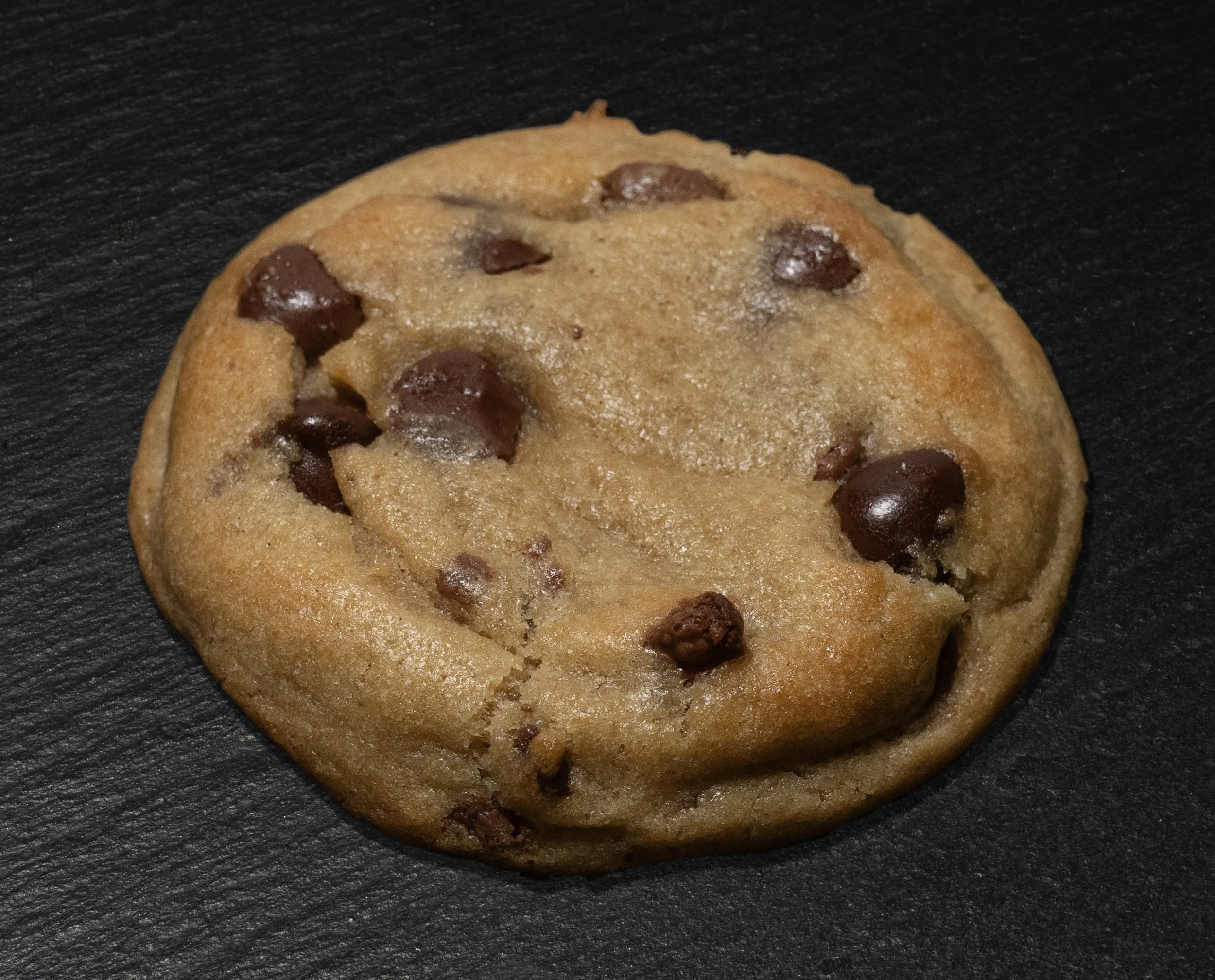 chocolatechip1.jpg
