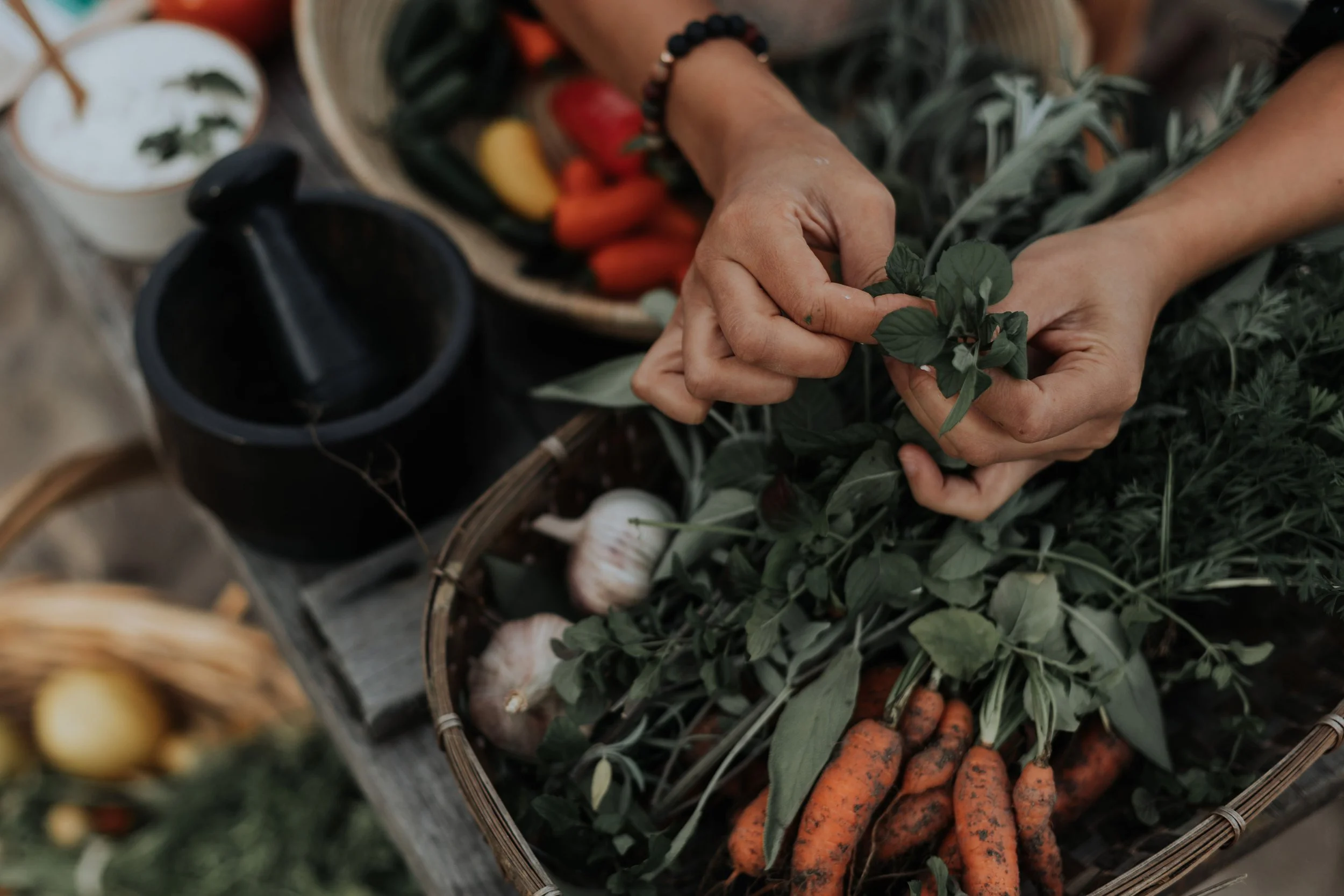 Person harvesting fresh carrots and herbs from a basket at a market or farm stand.