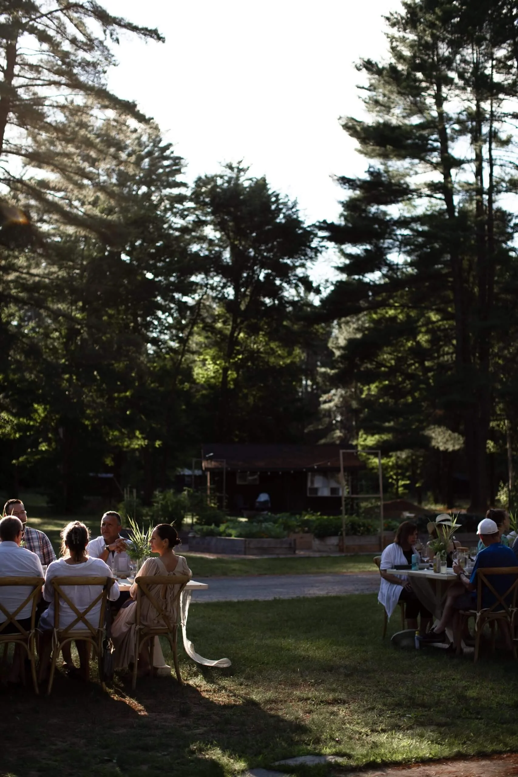A group of people dining outdoors in a backyard with large trees and a house in the background during late afternoon or early evening.
