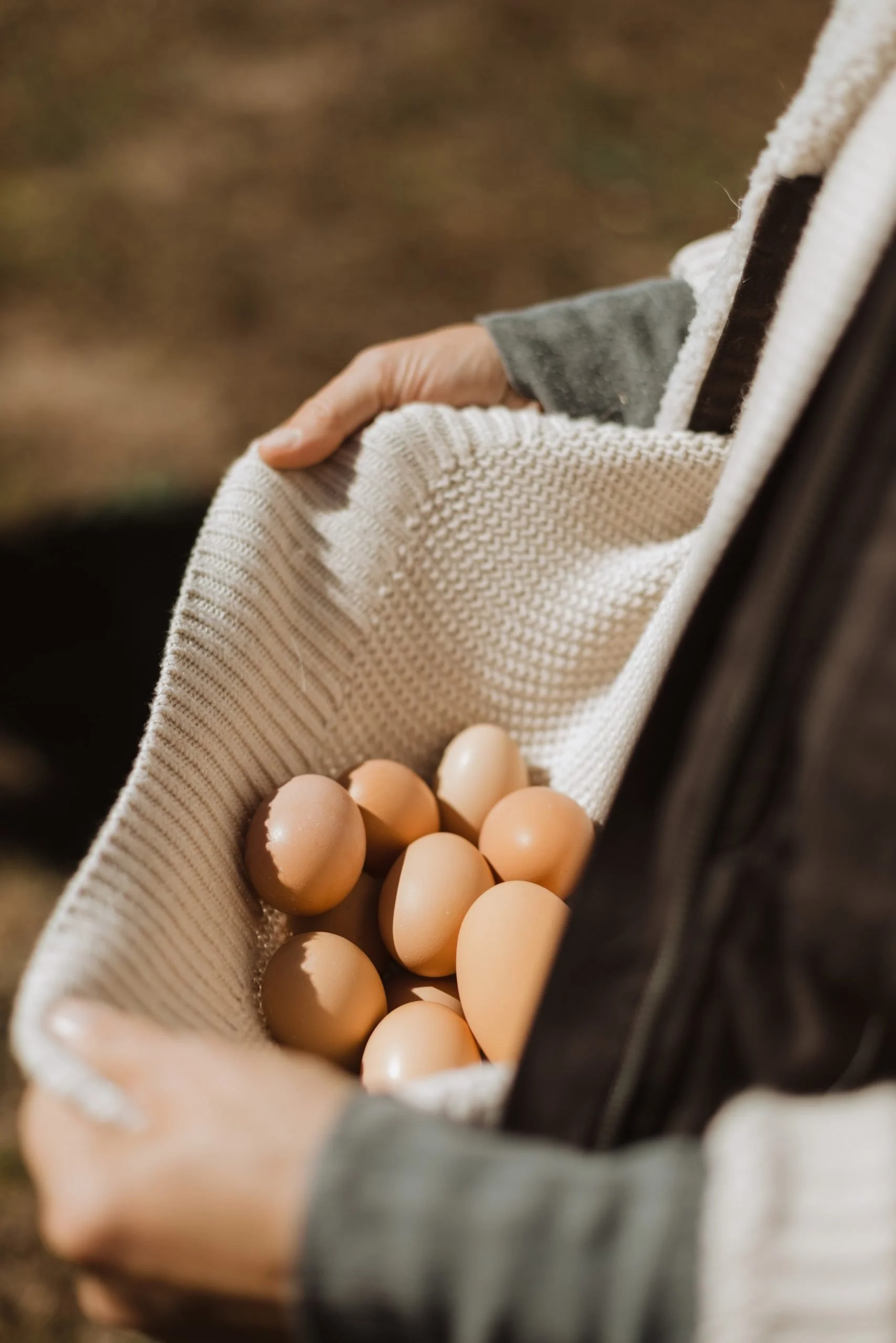 person carrying eggs.jpg