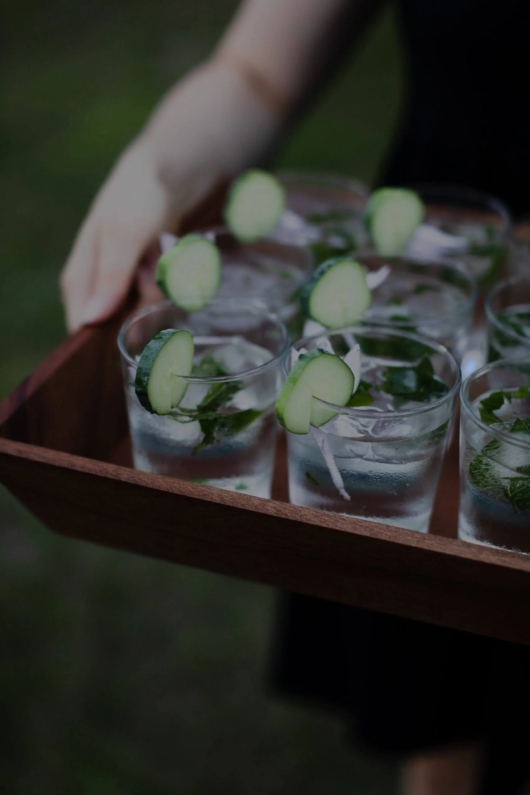 Tray of glasses with cucumber slices and mint leaves in clear liquid.