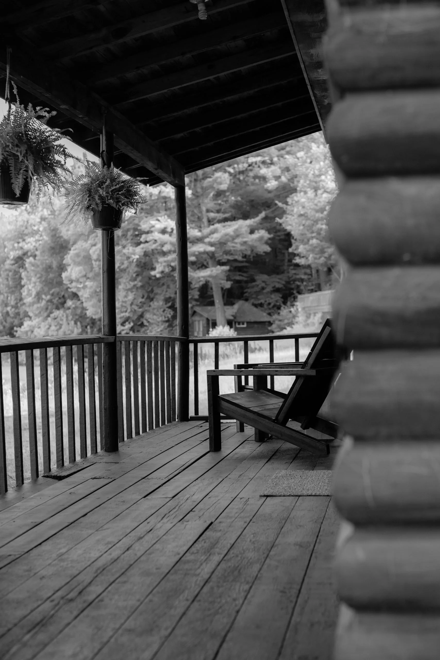 Black and white photo of a wooden porch with a railing and a wooden chair, trees in the background, and hanging potted plants on the porch ceiling.