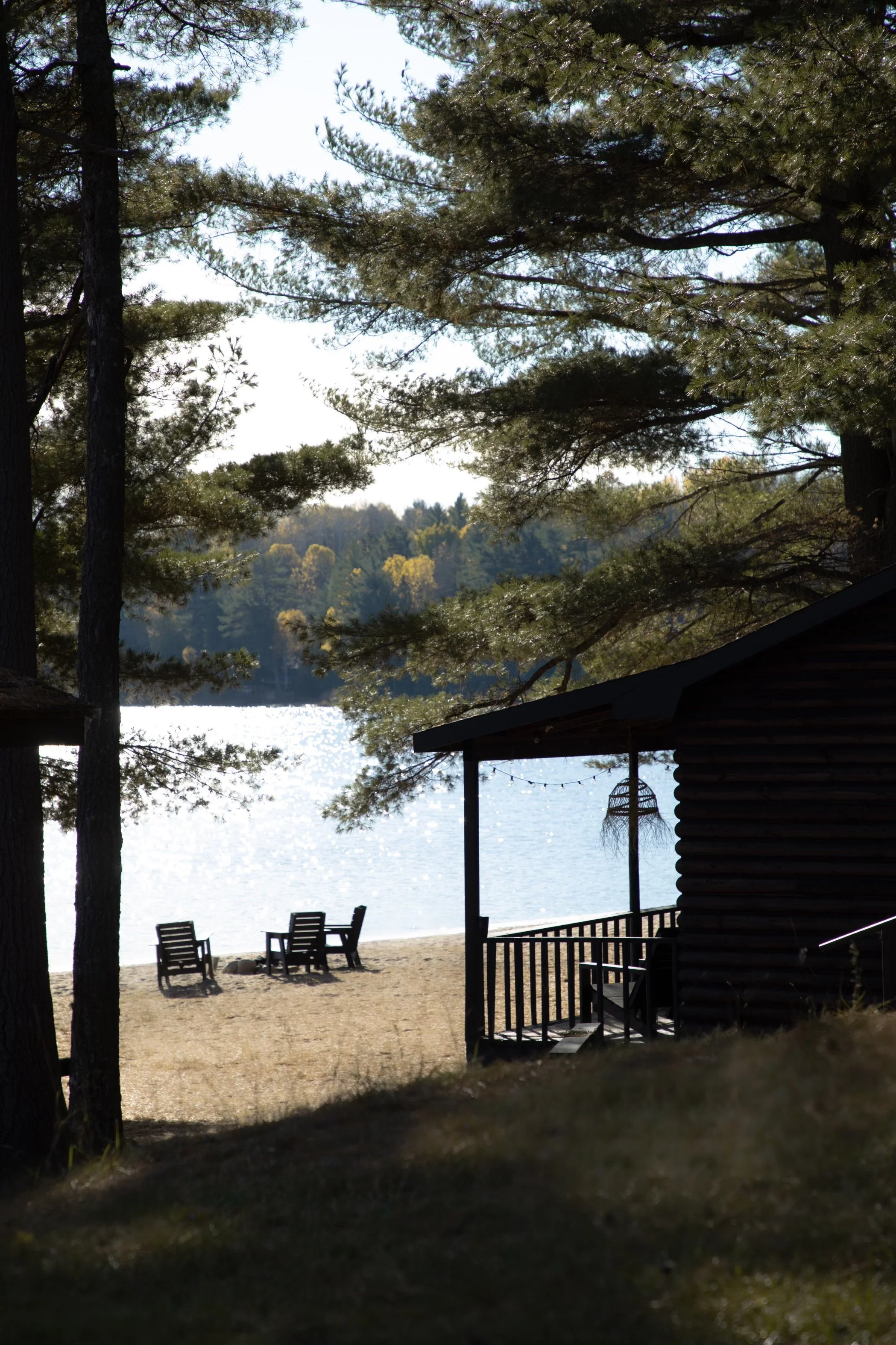 view of the river from the woods.jpg