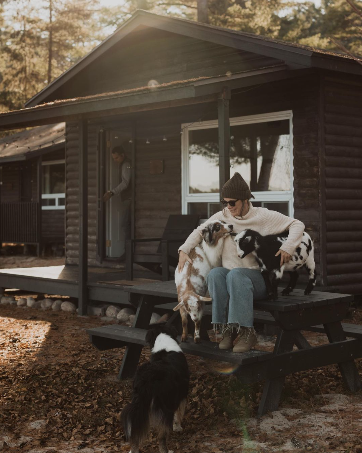 A woman sitting on a porch with three puppies, one standing on her lap and two on the bench next to her, while a dog approaches from below. A person is in the doorway of a wooden cabin in the background, surrounded by trees and autumn leaves.