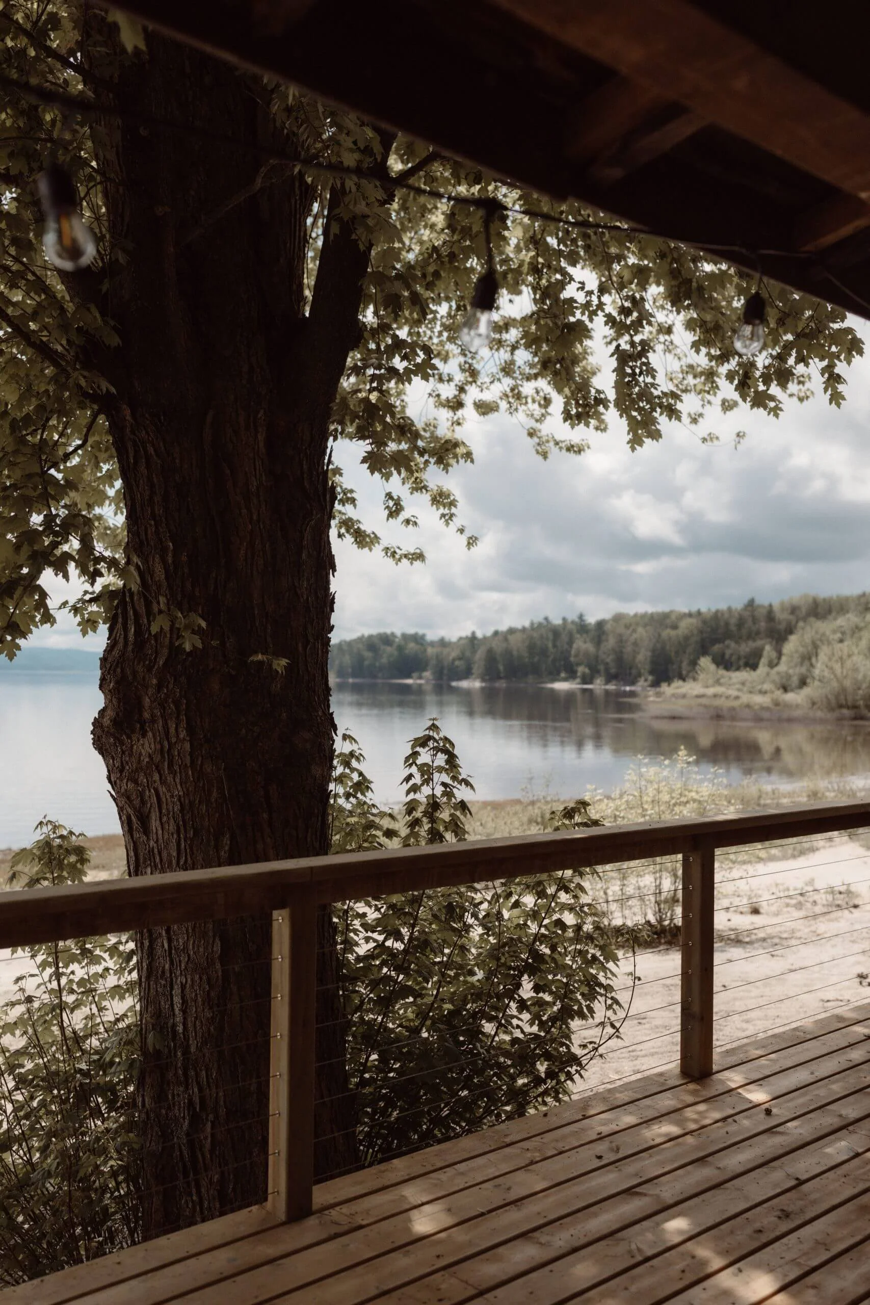 Lakeside view from a wooden deck with string lights and a large tree, overlooking a calm lake and forested shoreline under cloudy sky.