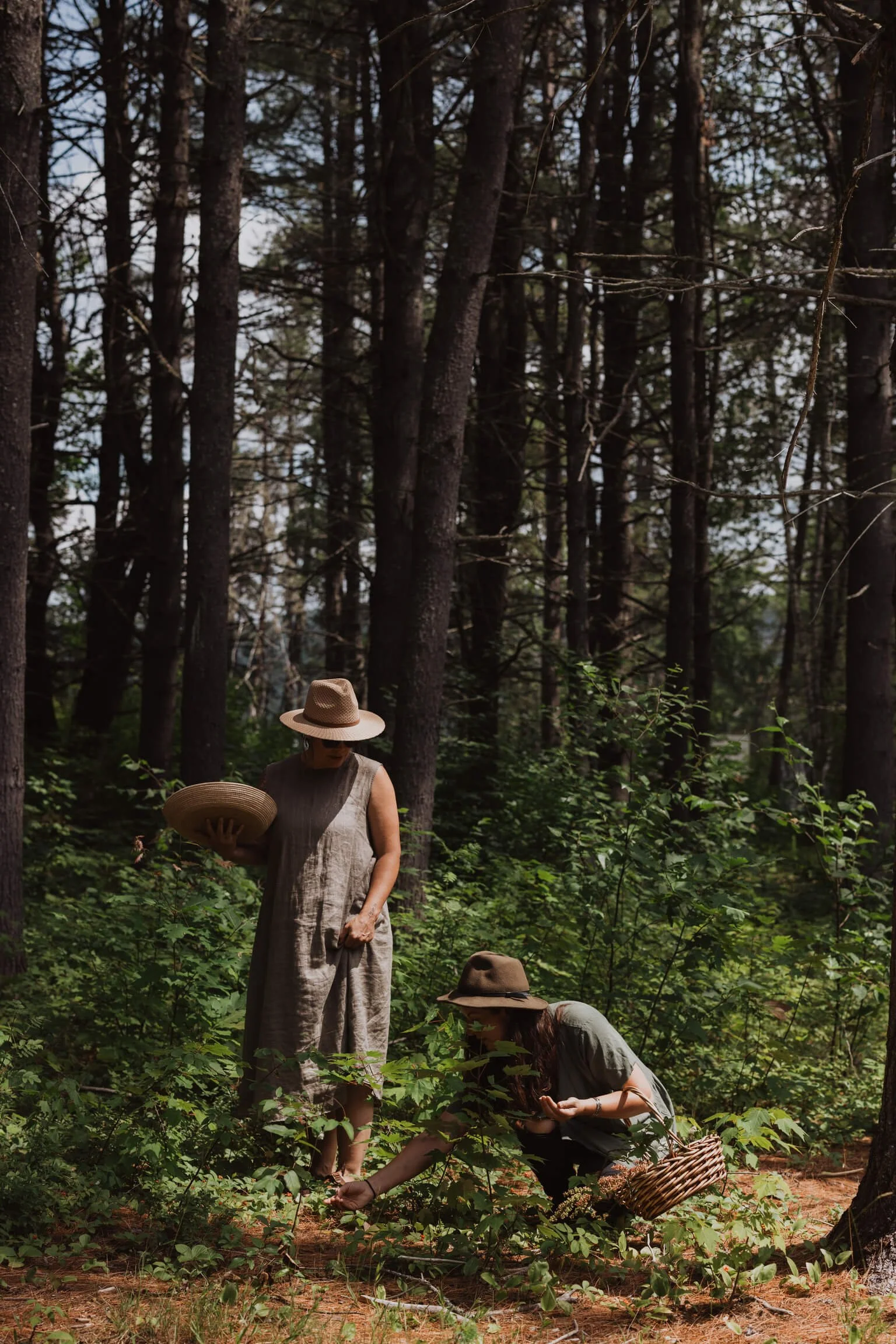 Two women harvesting plants in a dense forest, both wearing hats, one standing with a basket and the other crouching with a basket.