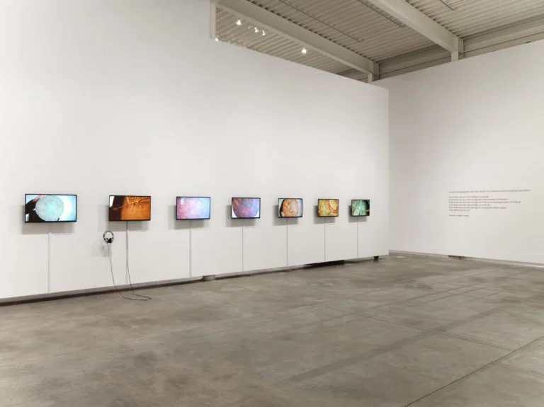 Soundings: An Exhibition in Five Parts (2020)
