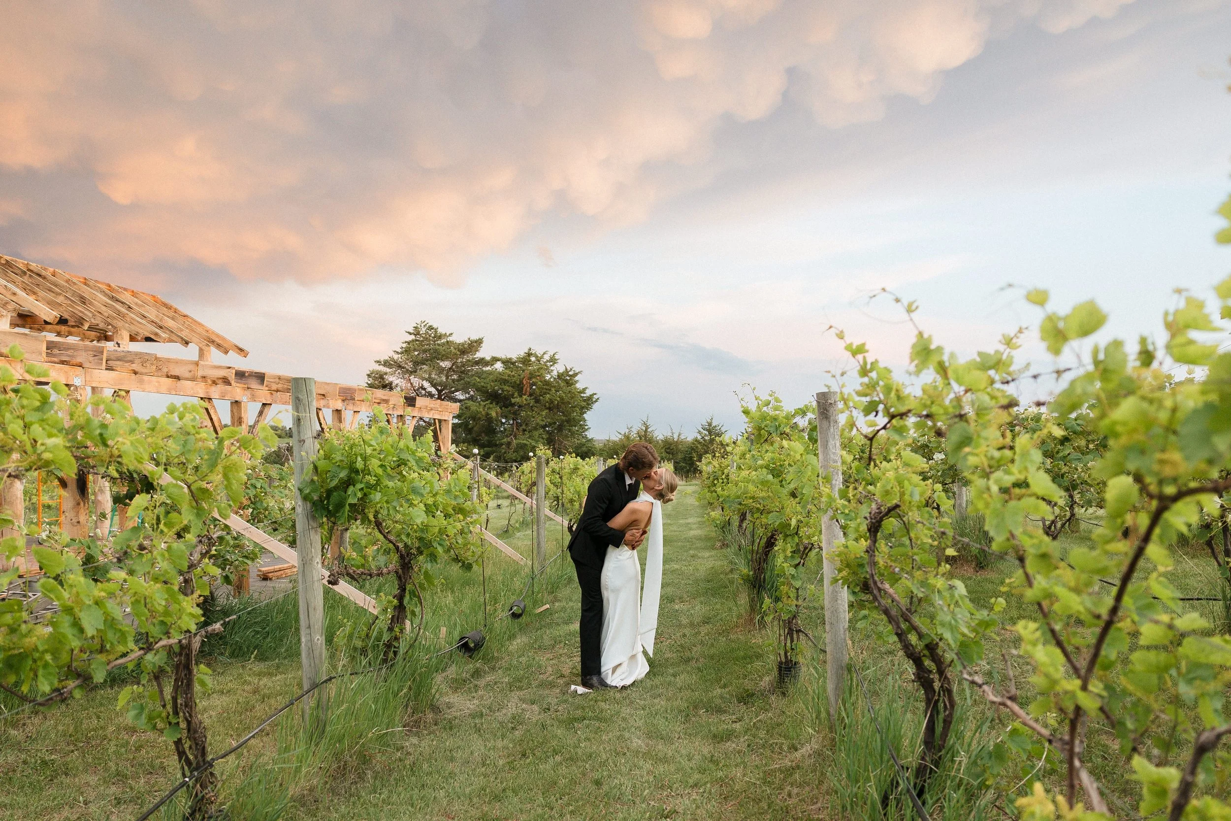 A newlywed couple sharing a kiss in a vineyard at sunset with green vines and a partly cloudy sky.