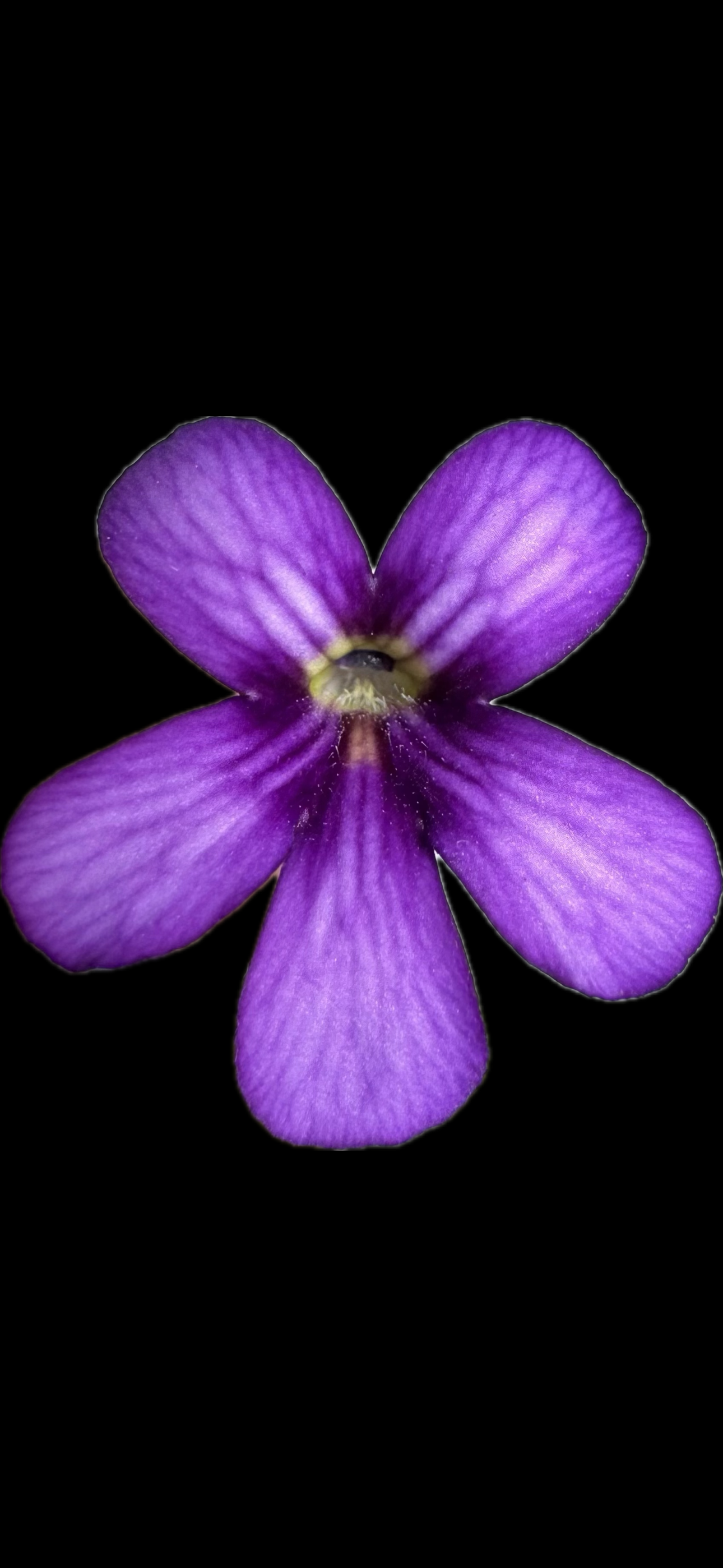 IMG_6615.png