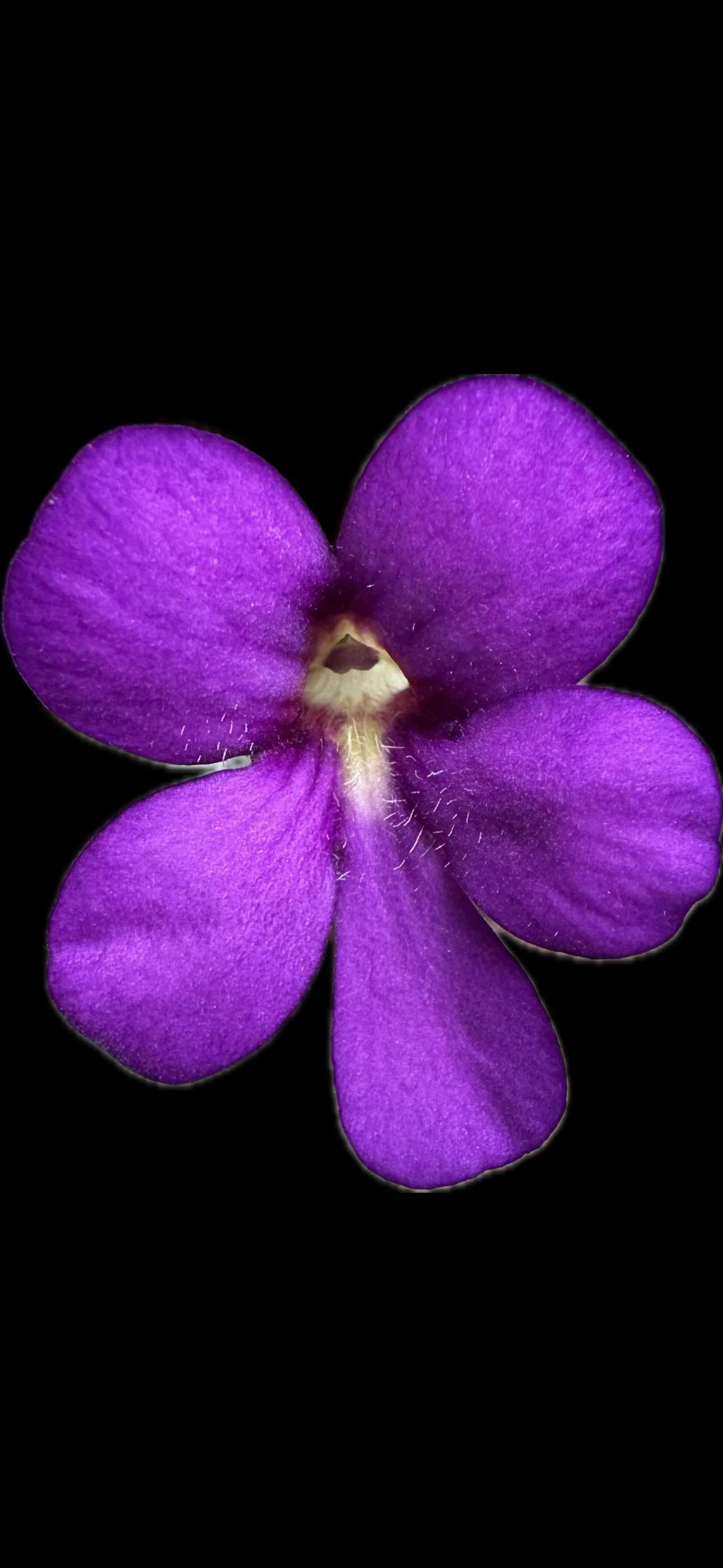 IMG_7308.png