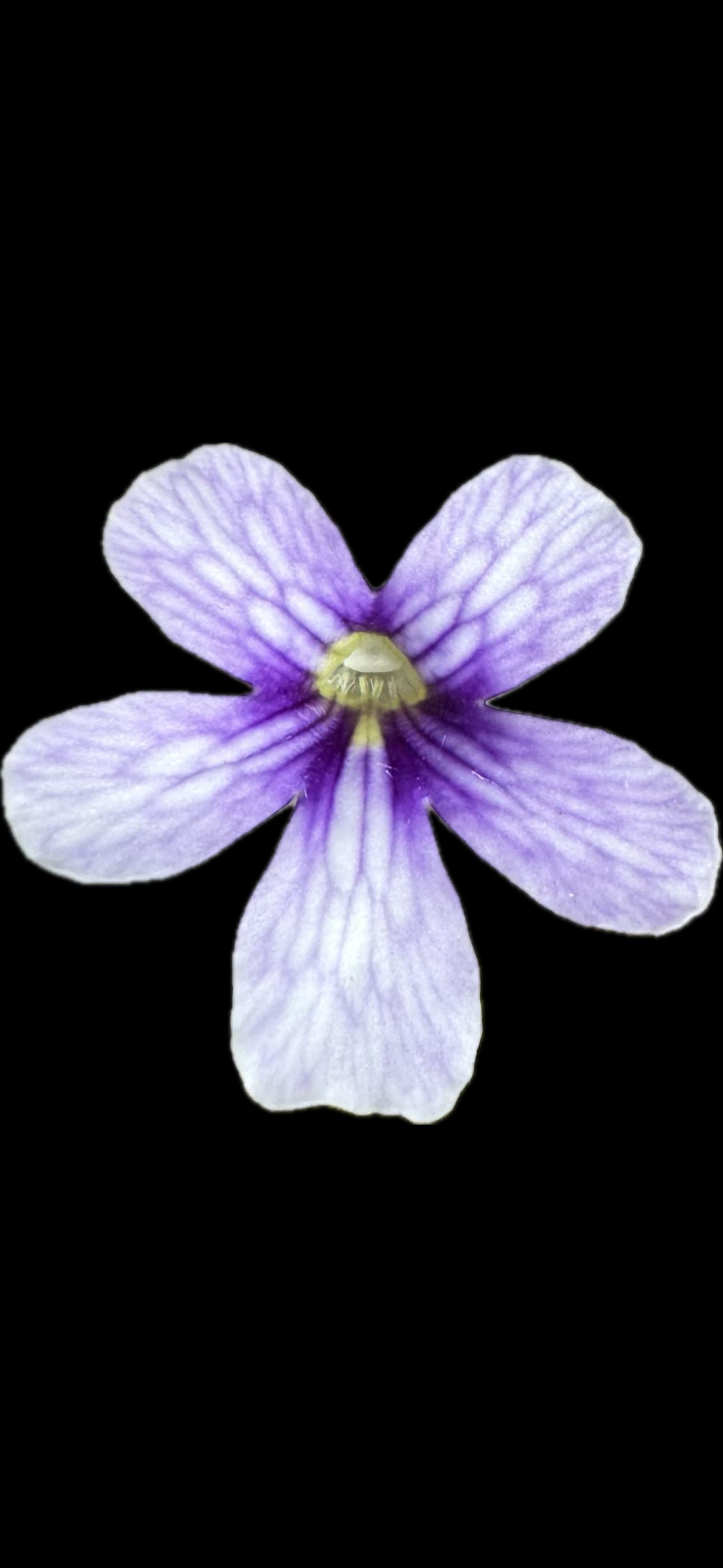 IMG_7310.png