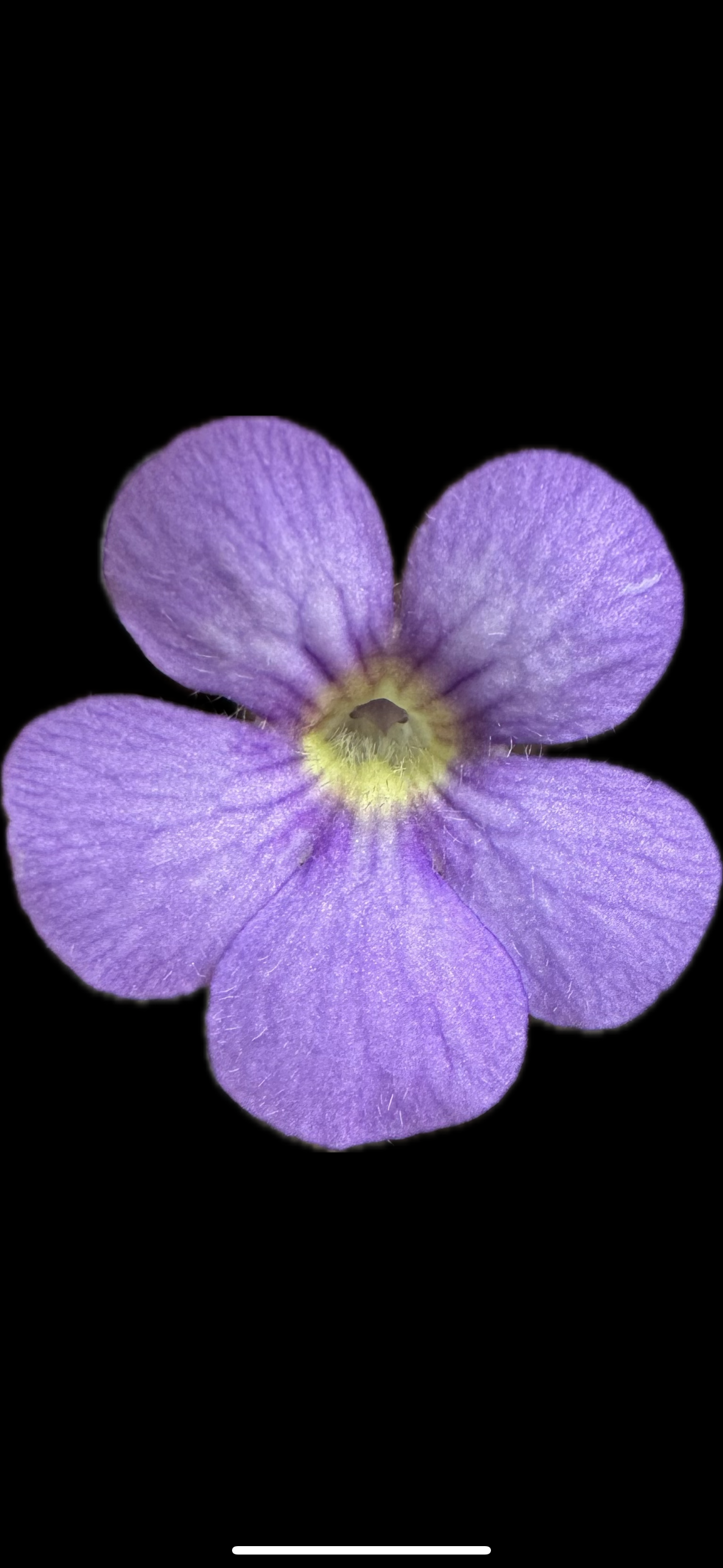 IMG_7305.png