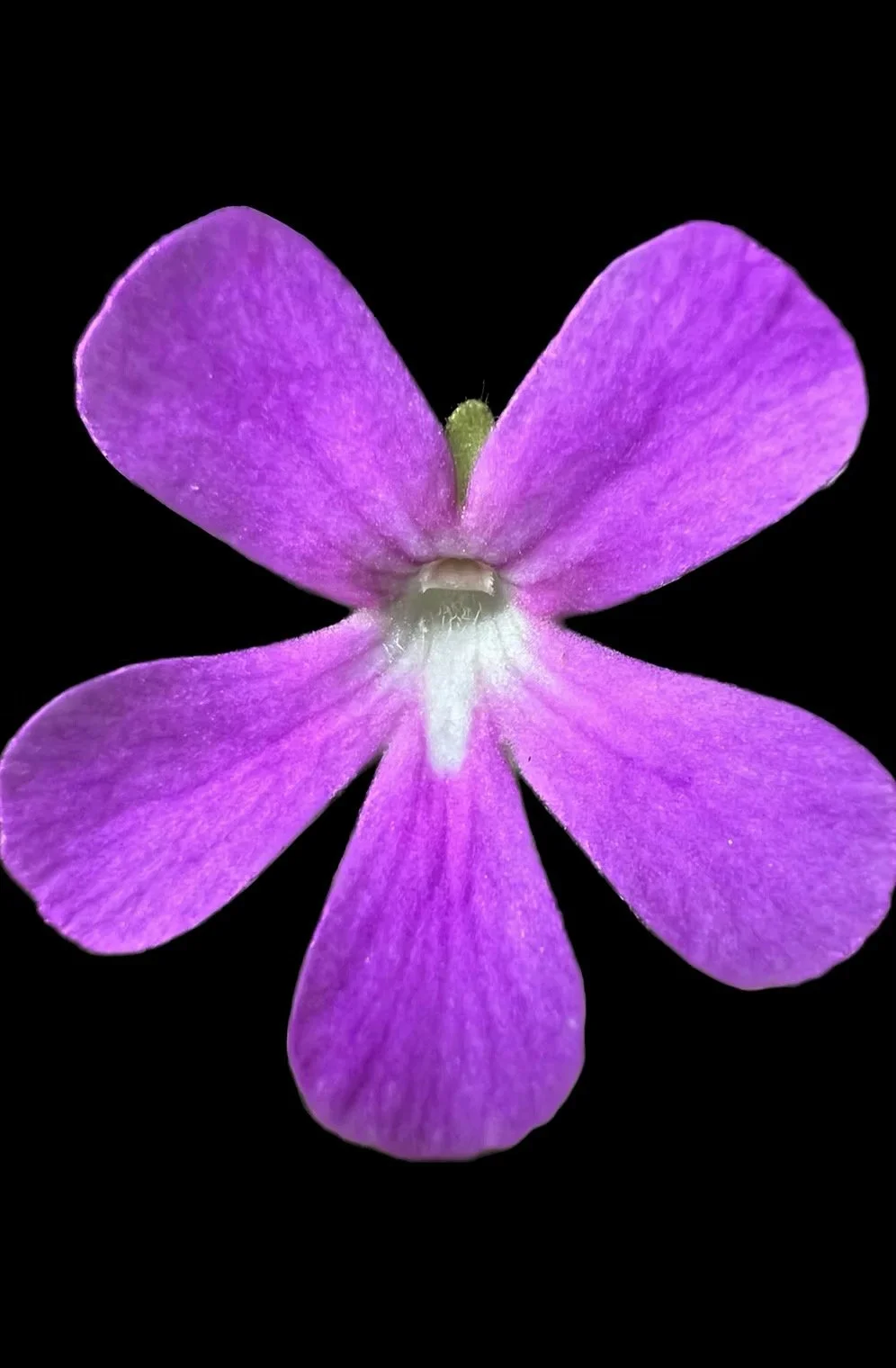 Image 9.jpeg