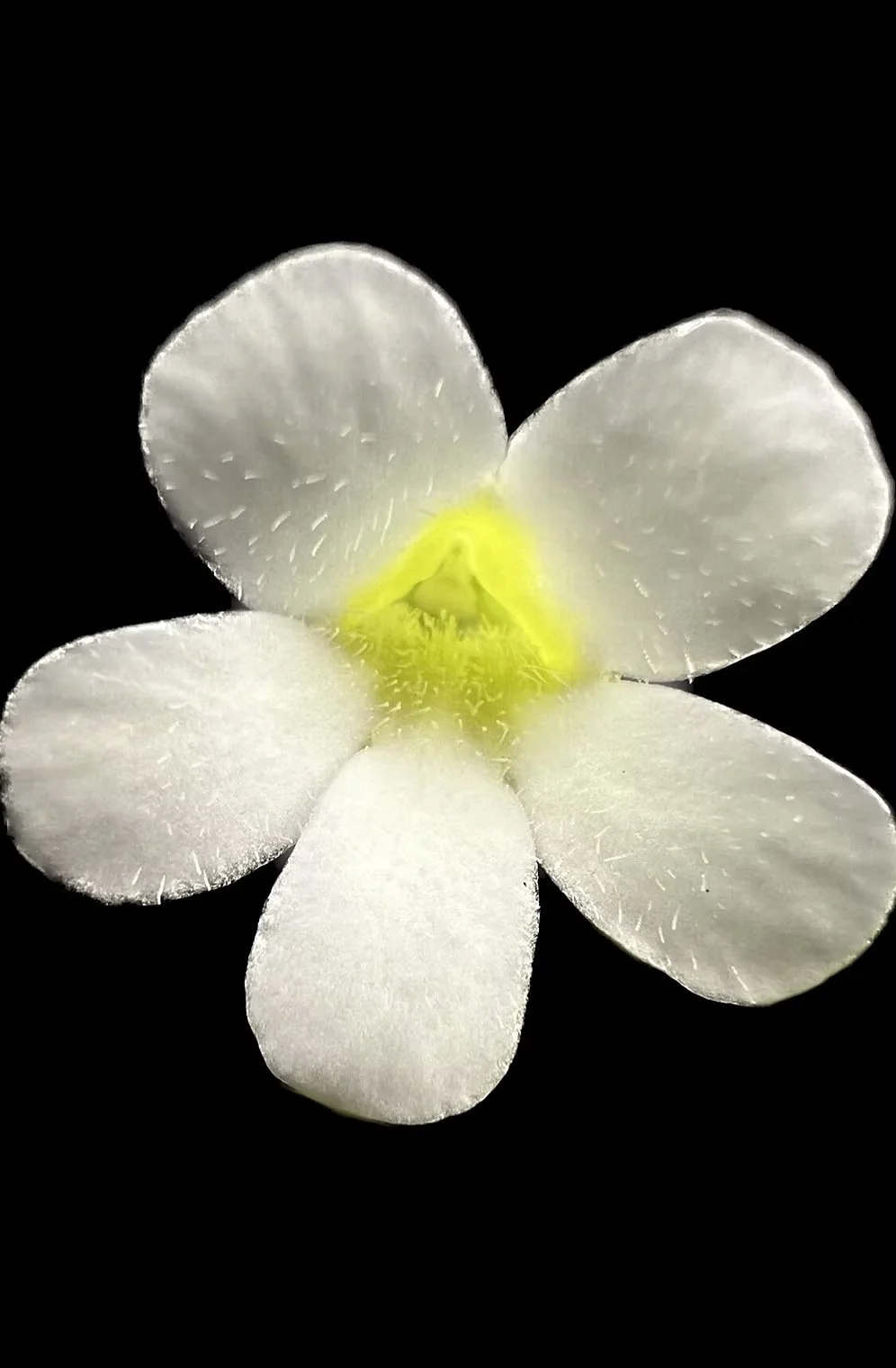 Image 16.jpeg