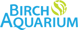 Birch Aquarium.png