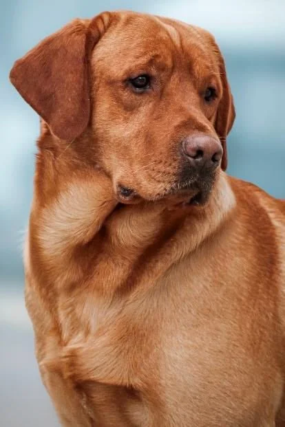 Radar- in the czech republic 