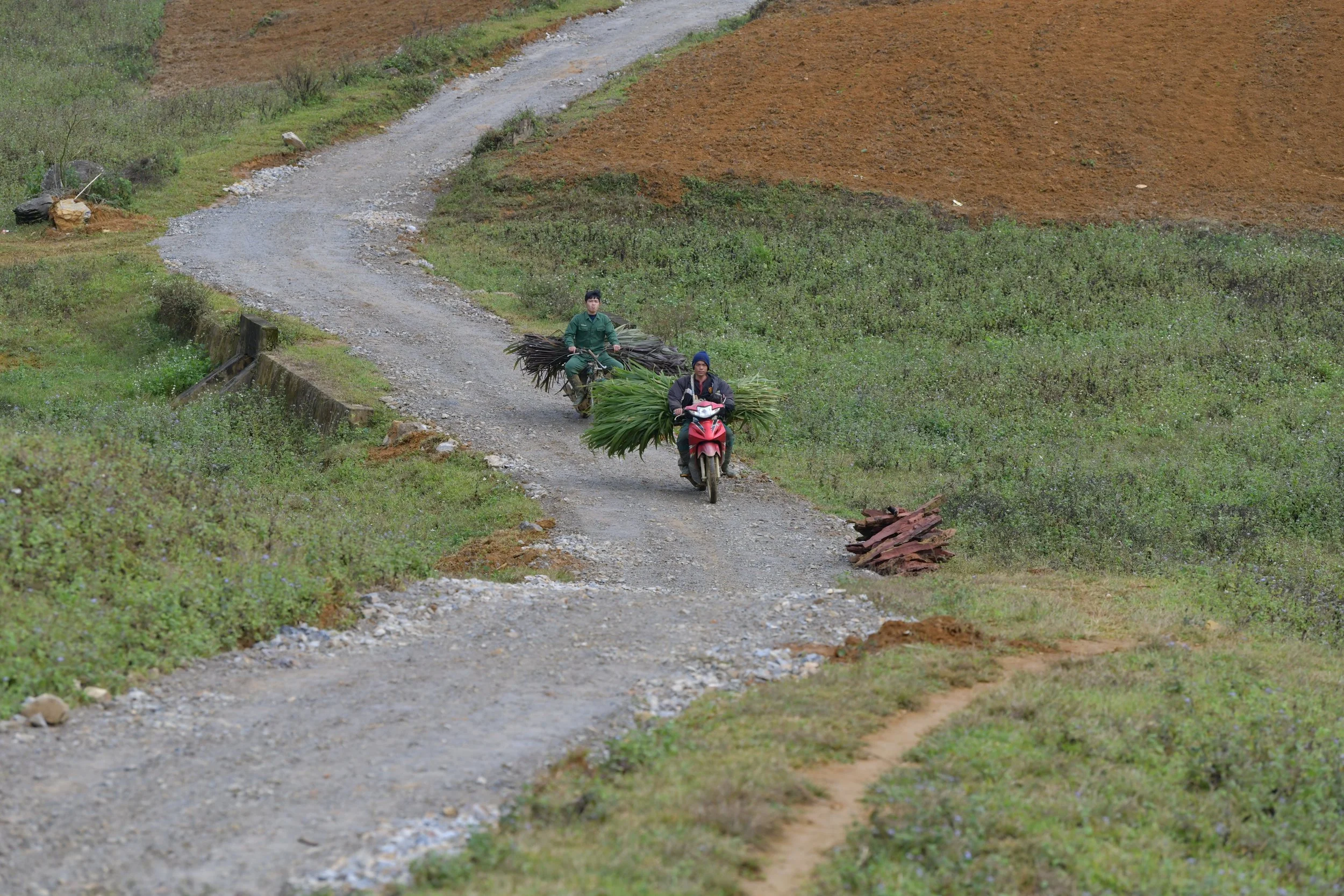Two people ride on a dirt road, one on a motorcycle carrying large plant bundles, and the other on a bicycle carrying much fewer plants, in a rural, hilly landscape with green and brown fields.