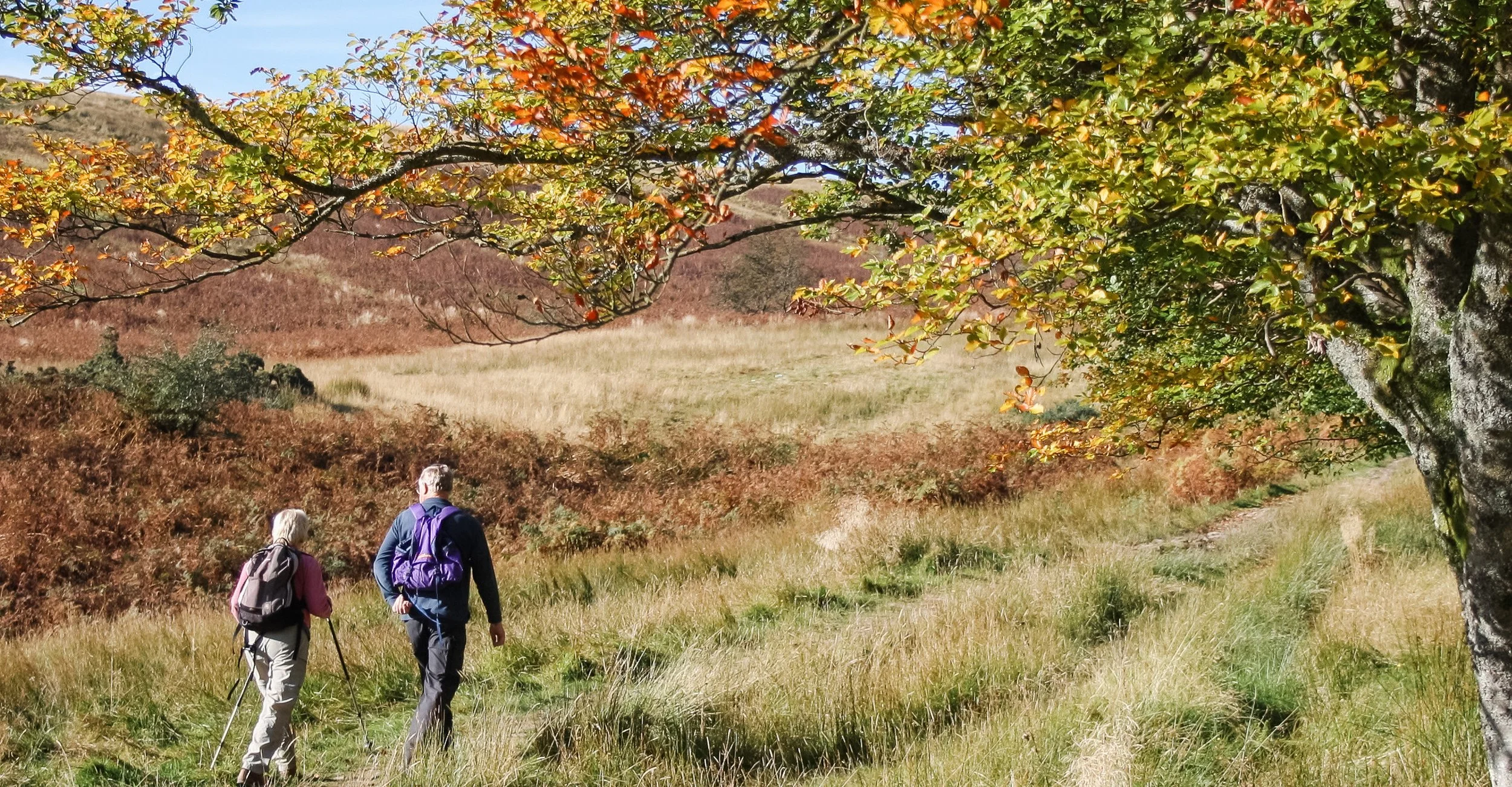 Stage 1 Balloch- Helensburgh image.jpg