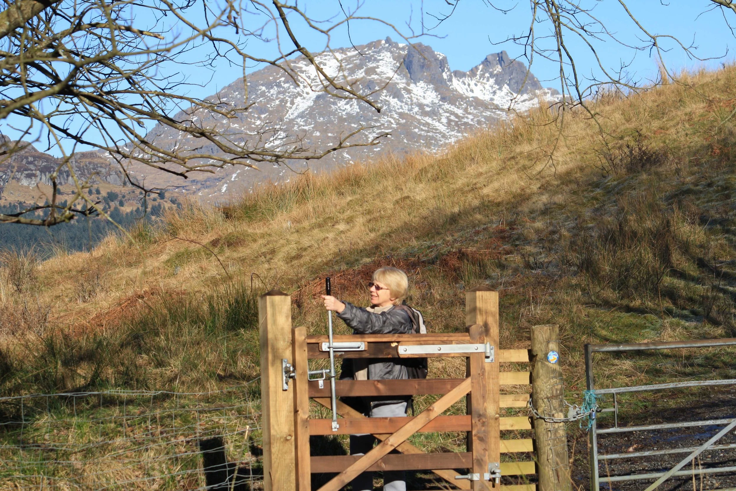 Hero Cobbler image.JPG