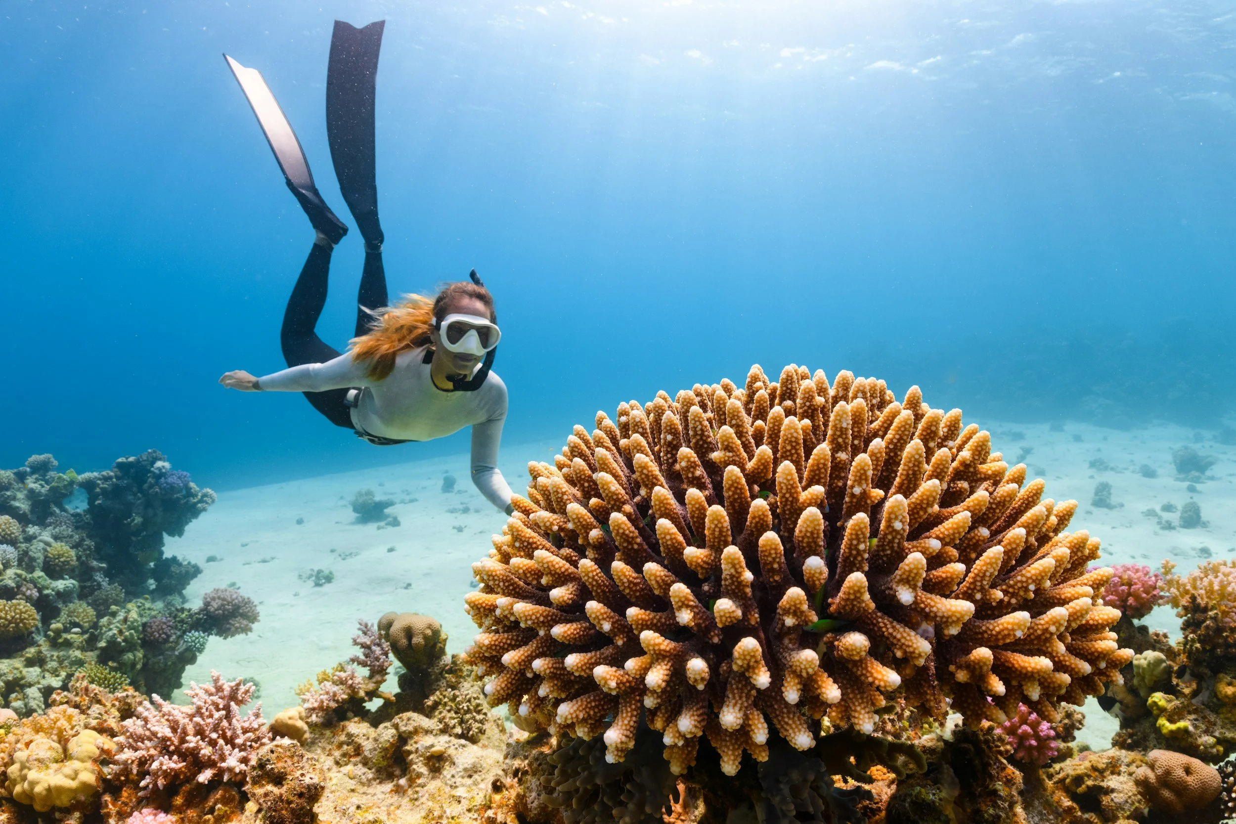 A woman in snorkeling gear swimming underwater near colorful coral and a large sea anemone.